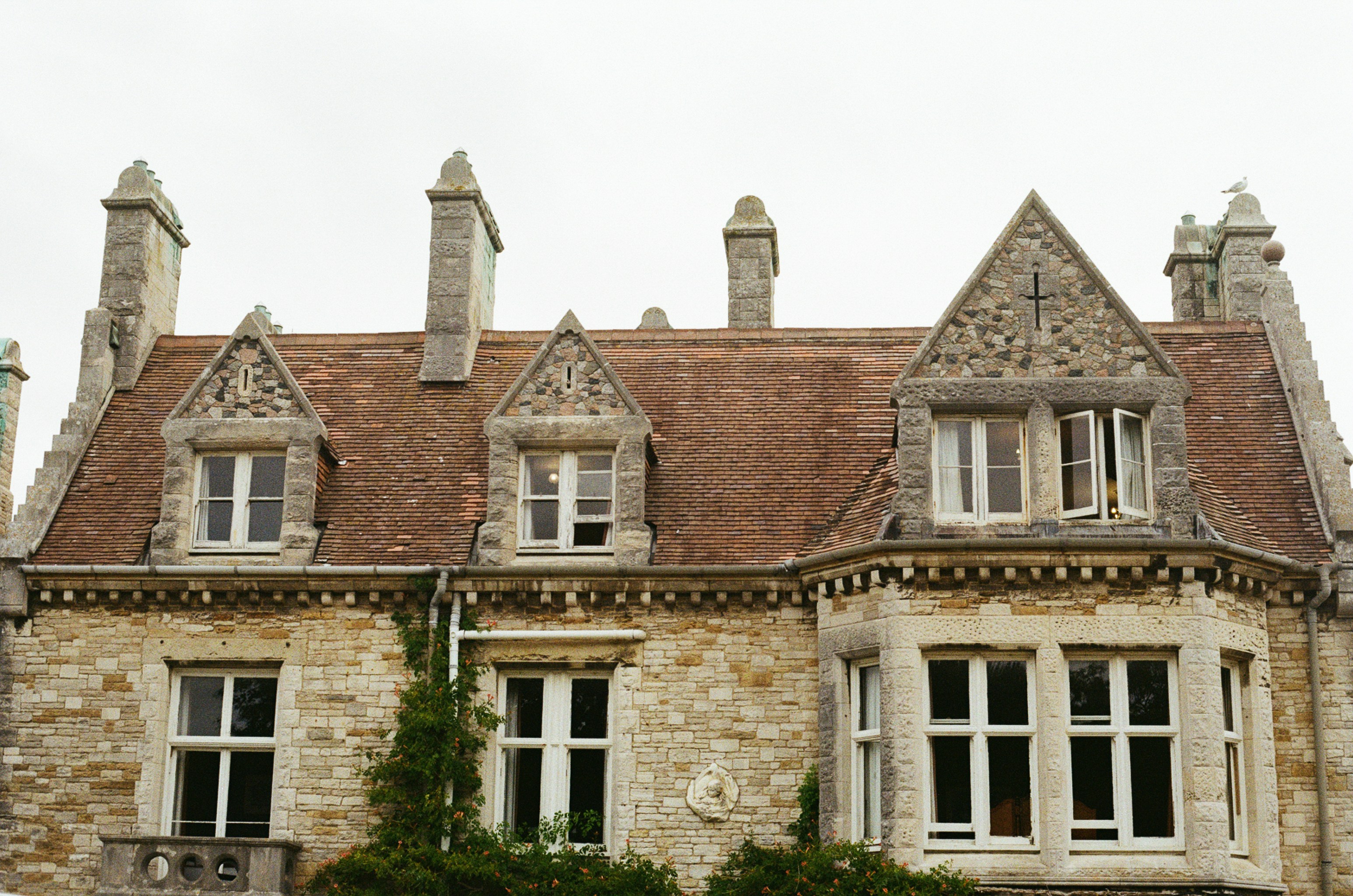 Photo by tanyabarrow