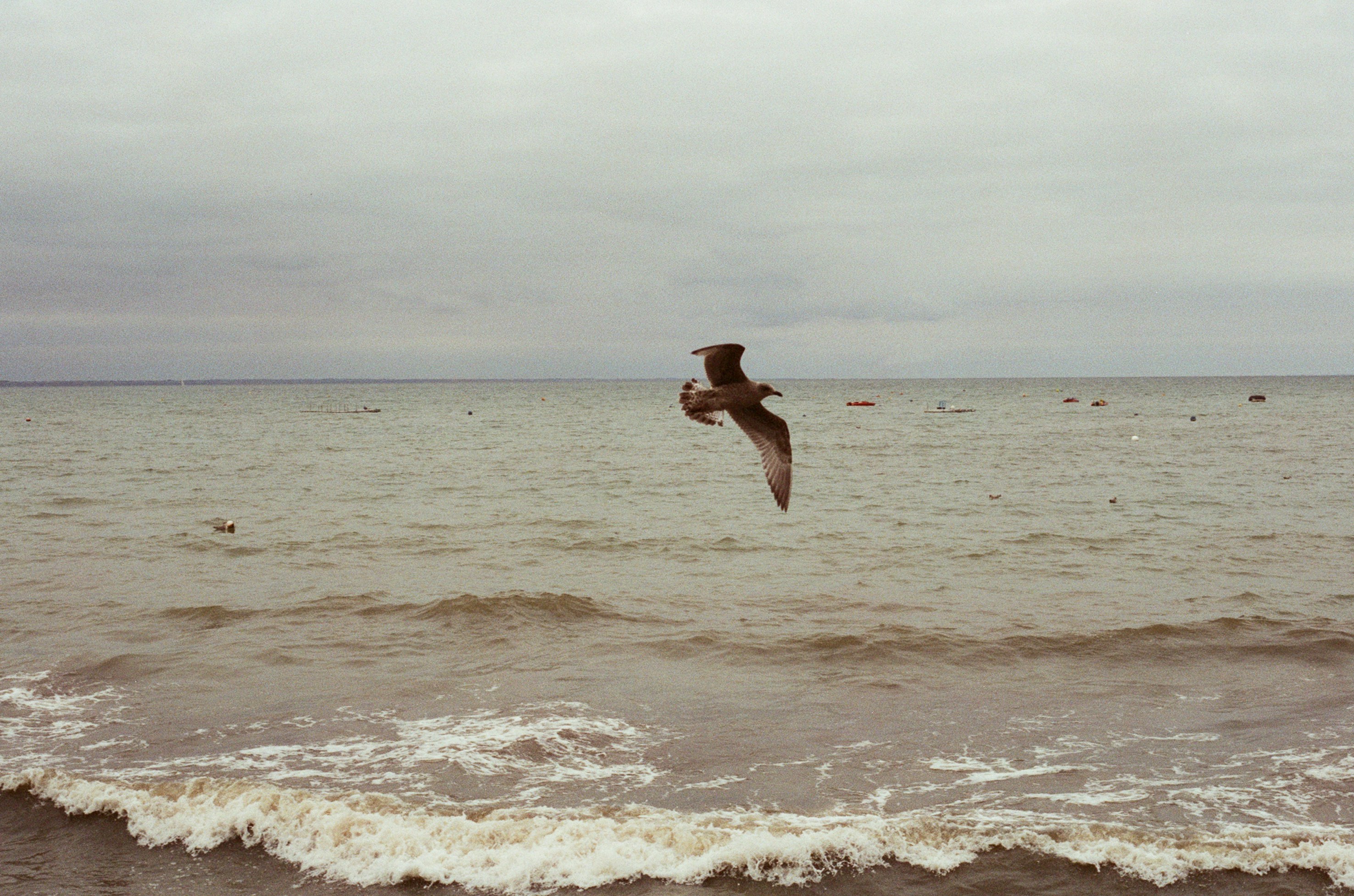 Photo by tanyabarrow