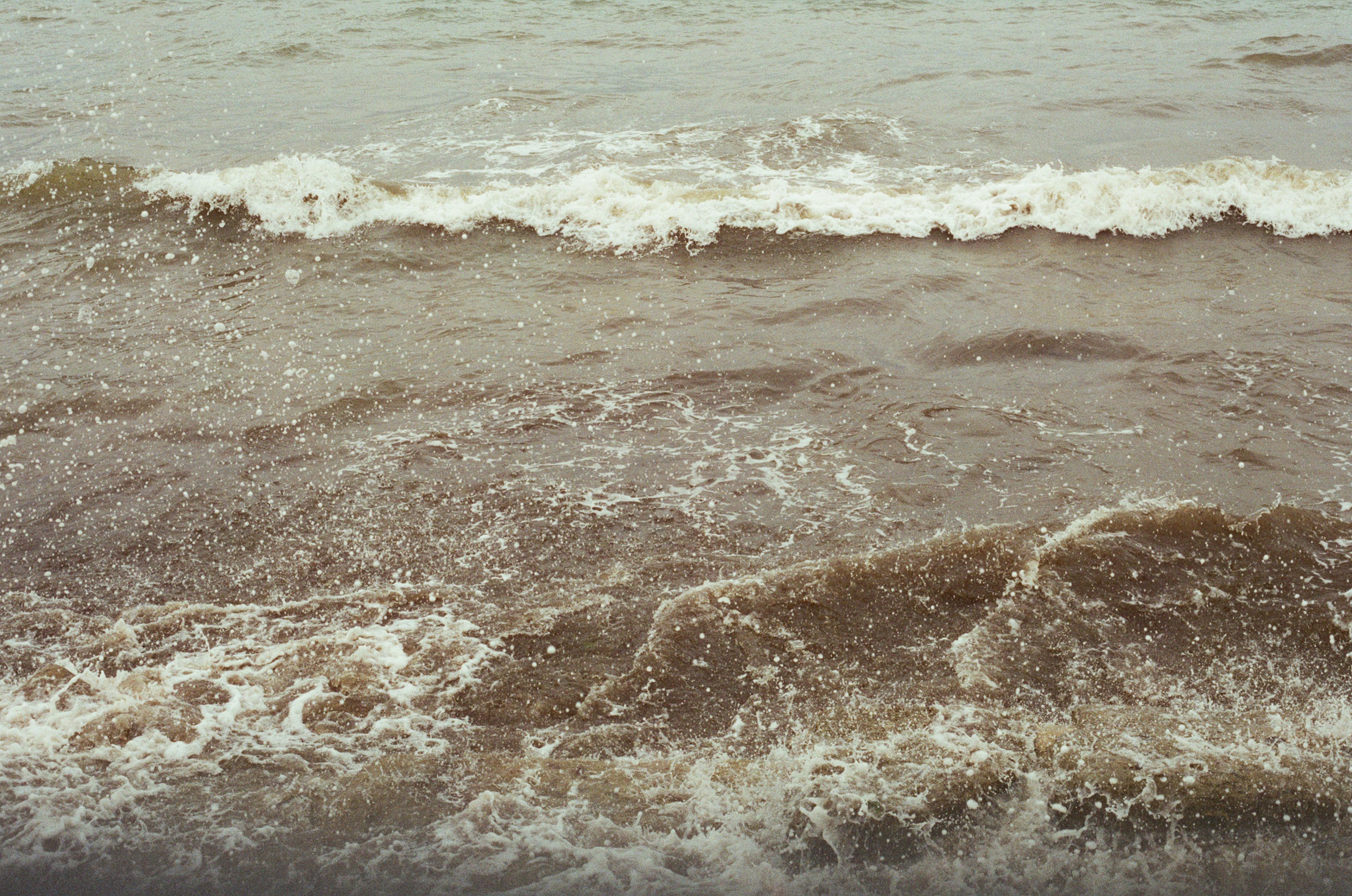 Photo by tanyabarrow