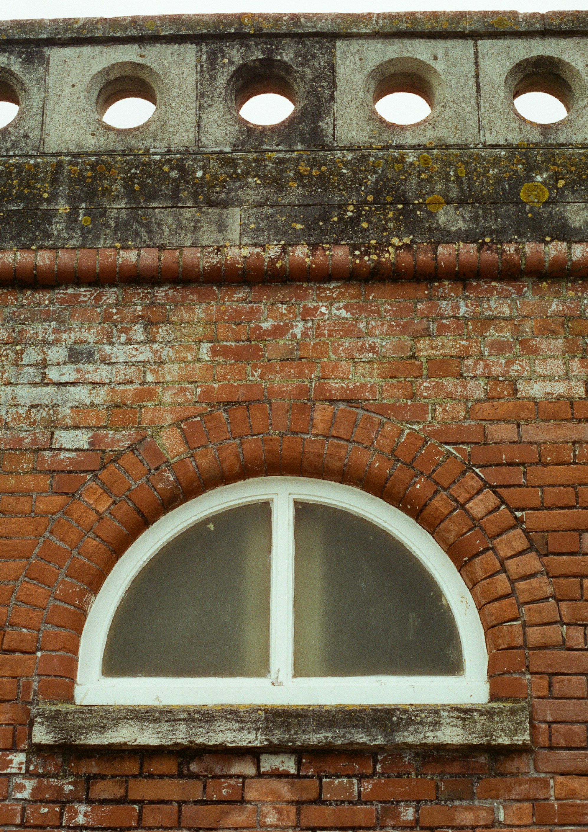 Photo by tanyabarrow