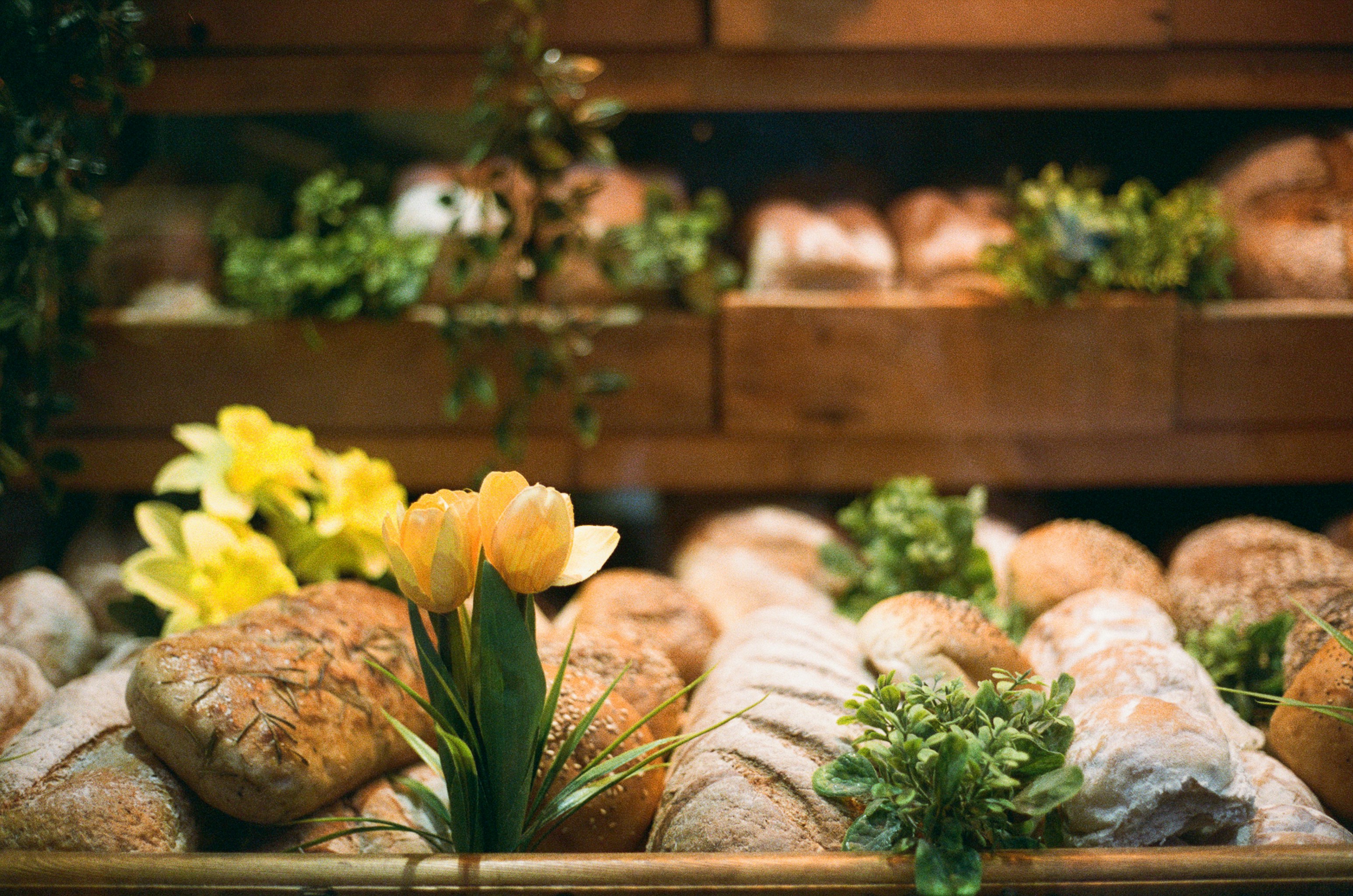 Photo by tanyabarrow