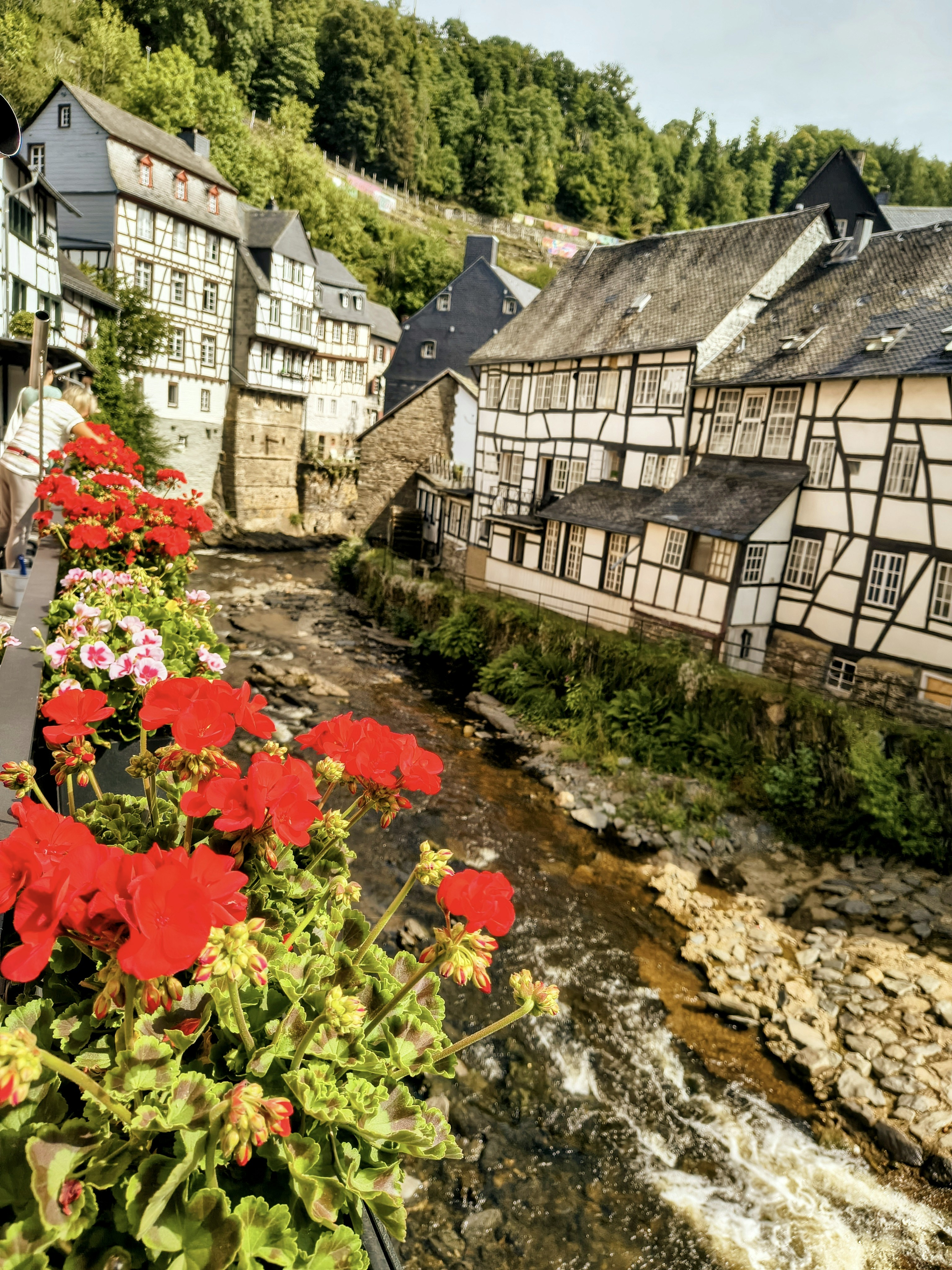 Photo by noachdamman