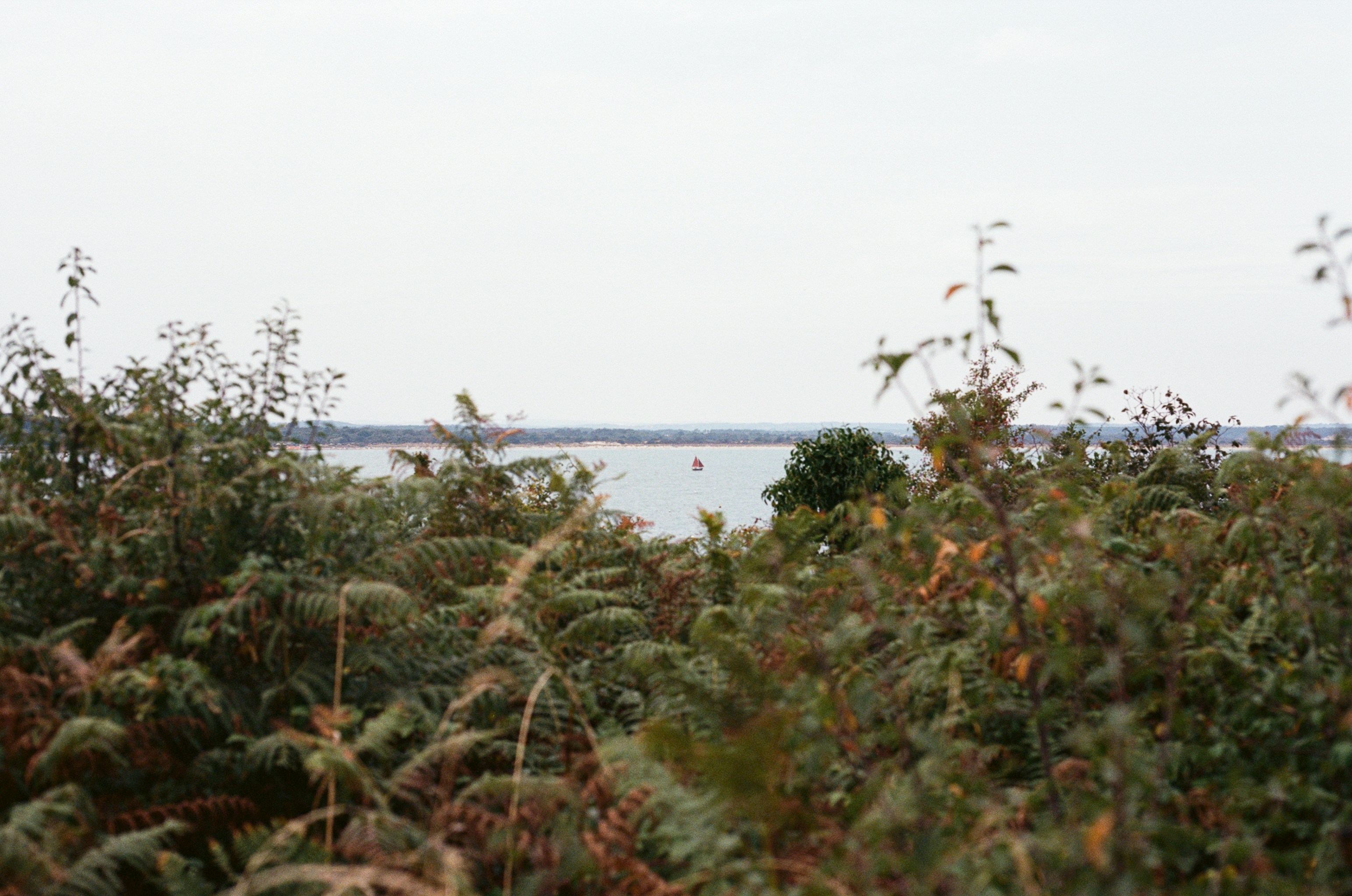 Photo by tanyabarrow