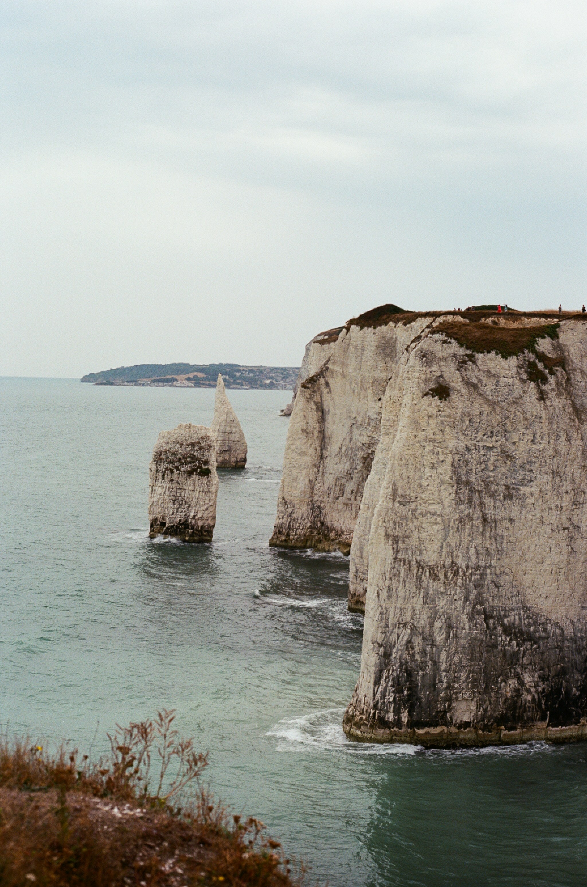 Photo by tanyabarrow