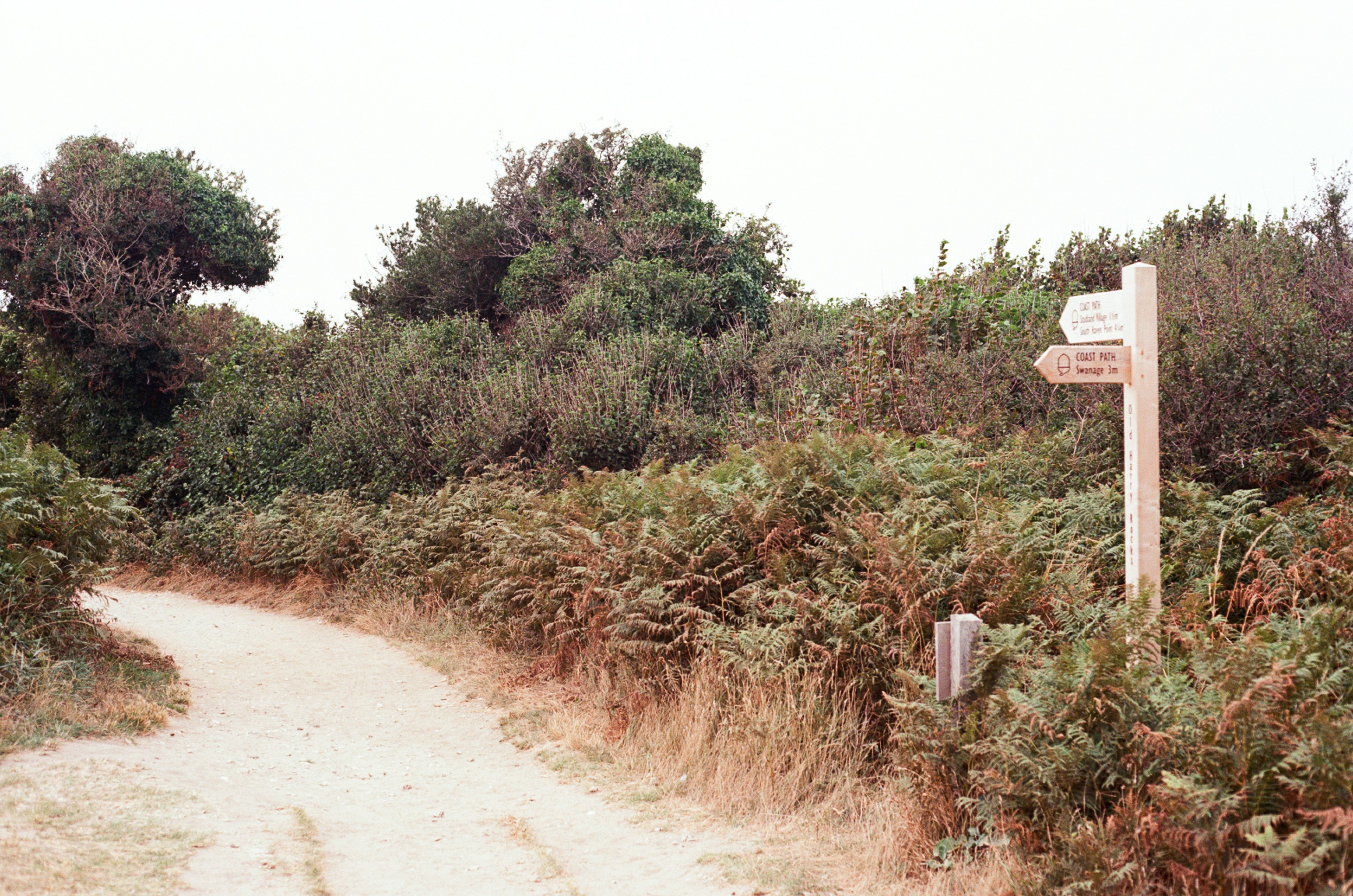 Photo by tanyabarrow