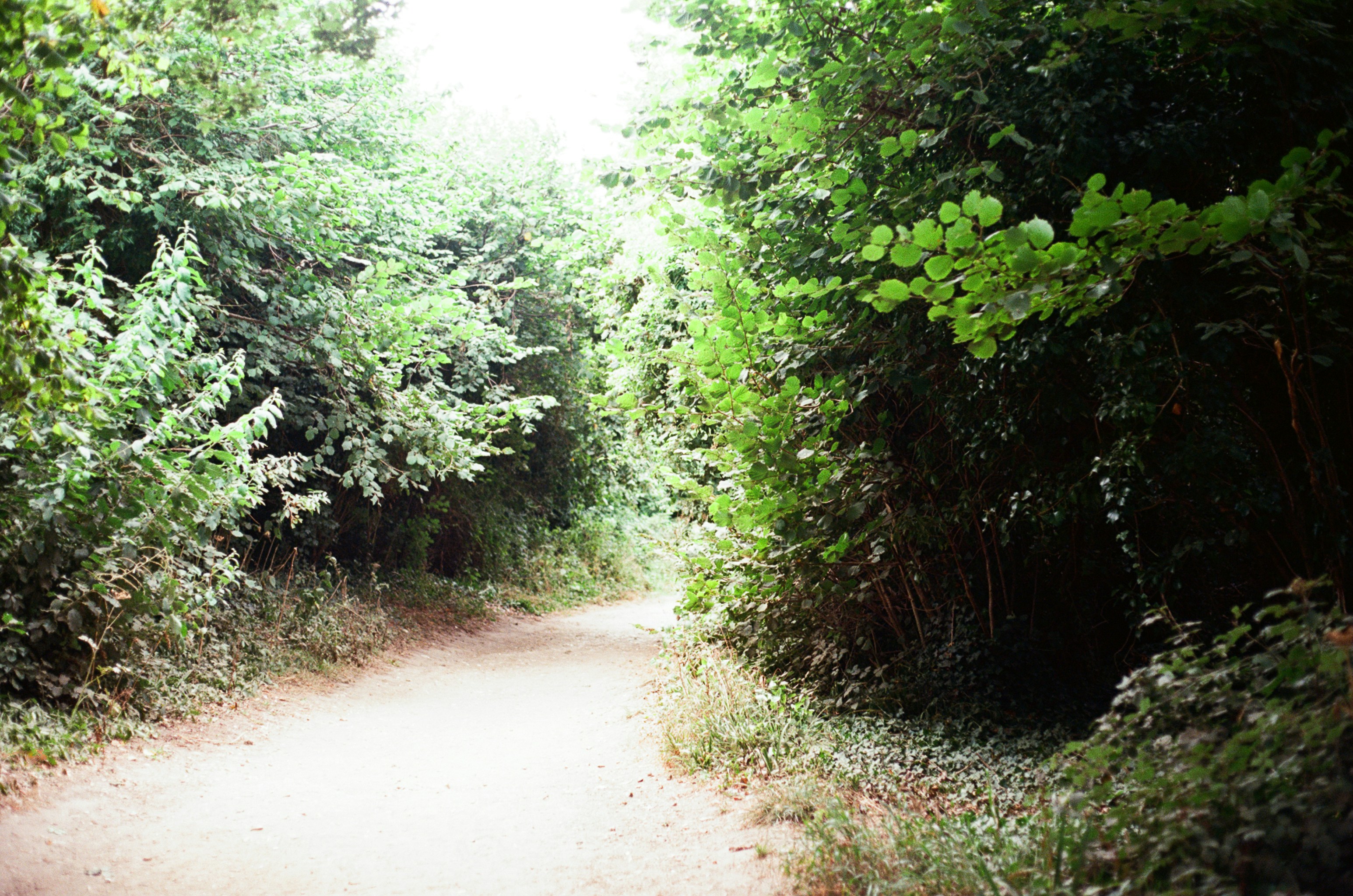 Photo by tanyabarrow