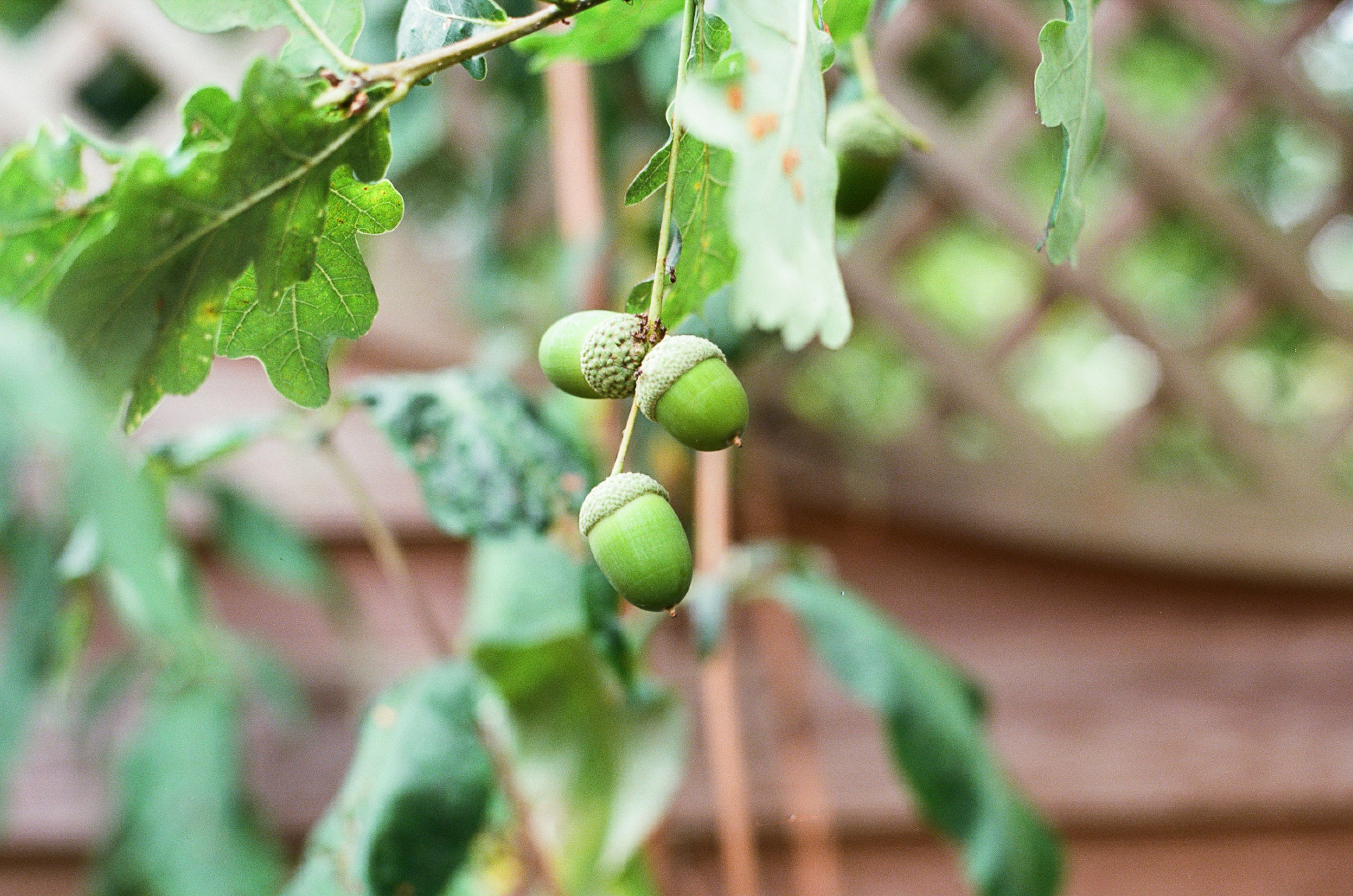 Photo by tanyabarrow