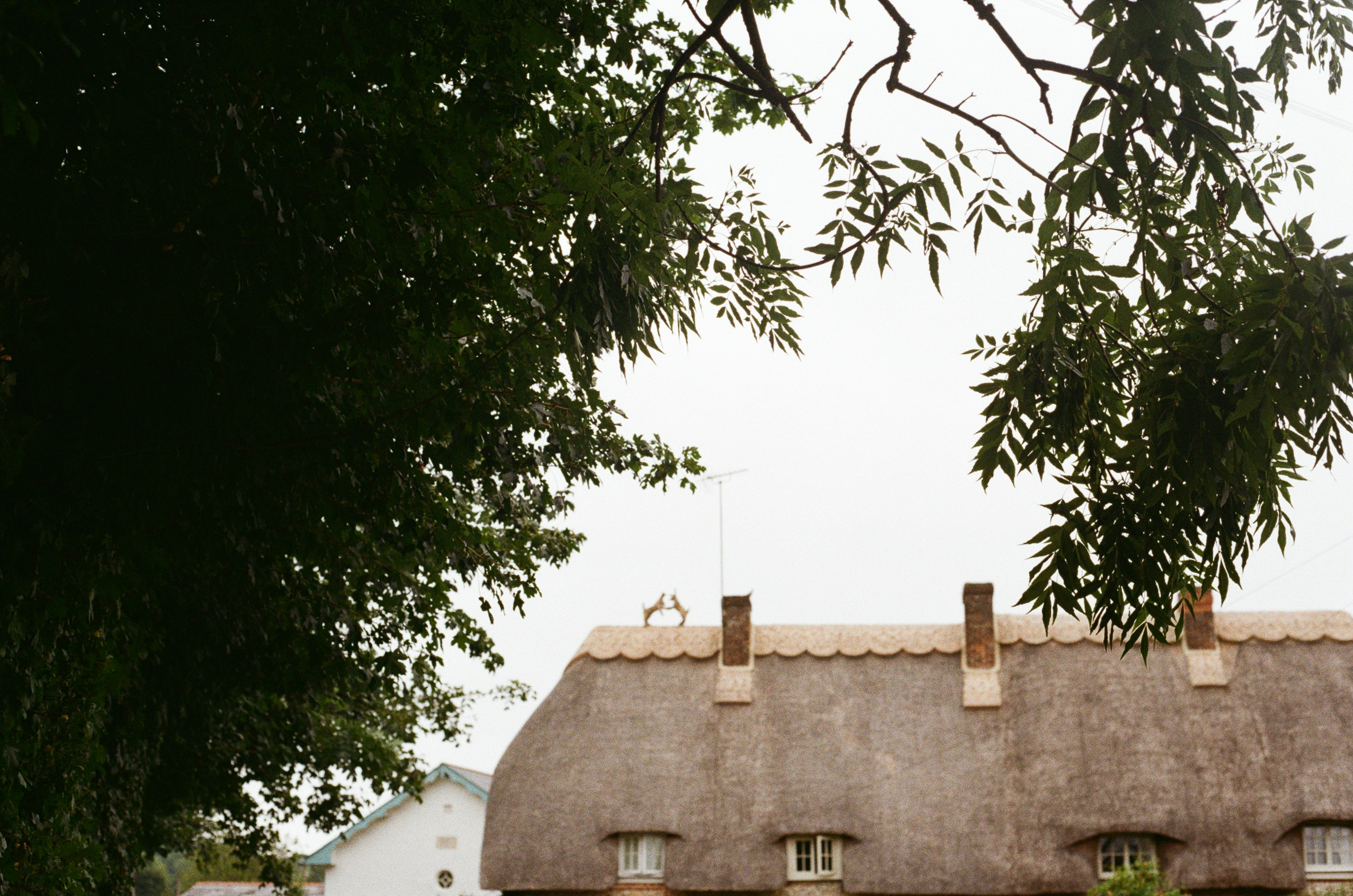 Photo by tanyabarrow