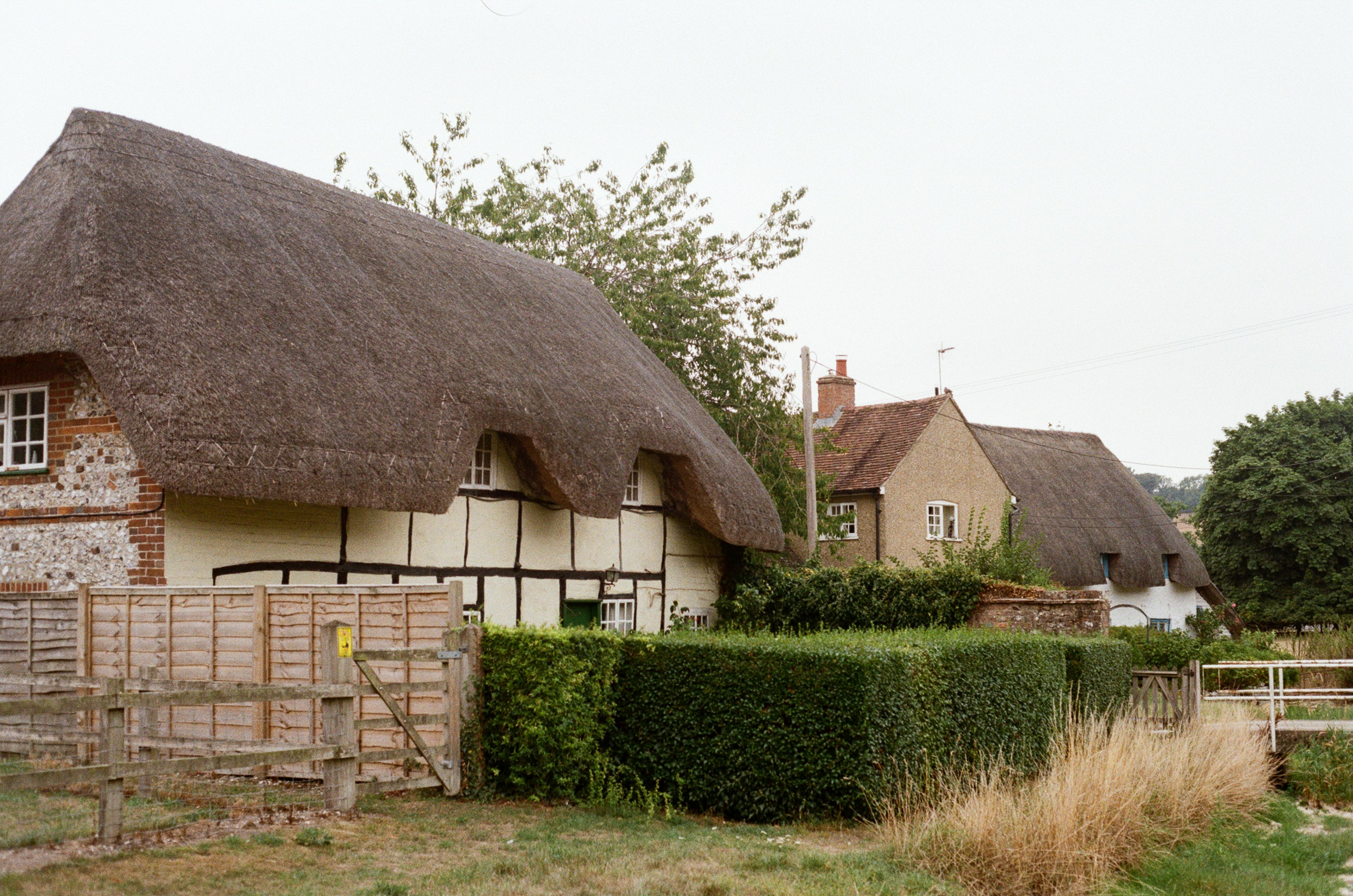 Photo by tanyabarrow