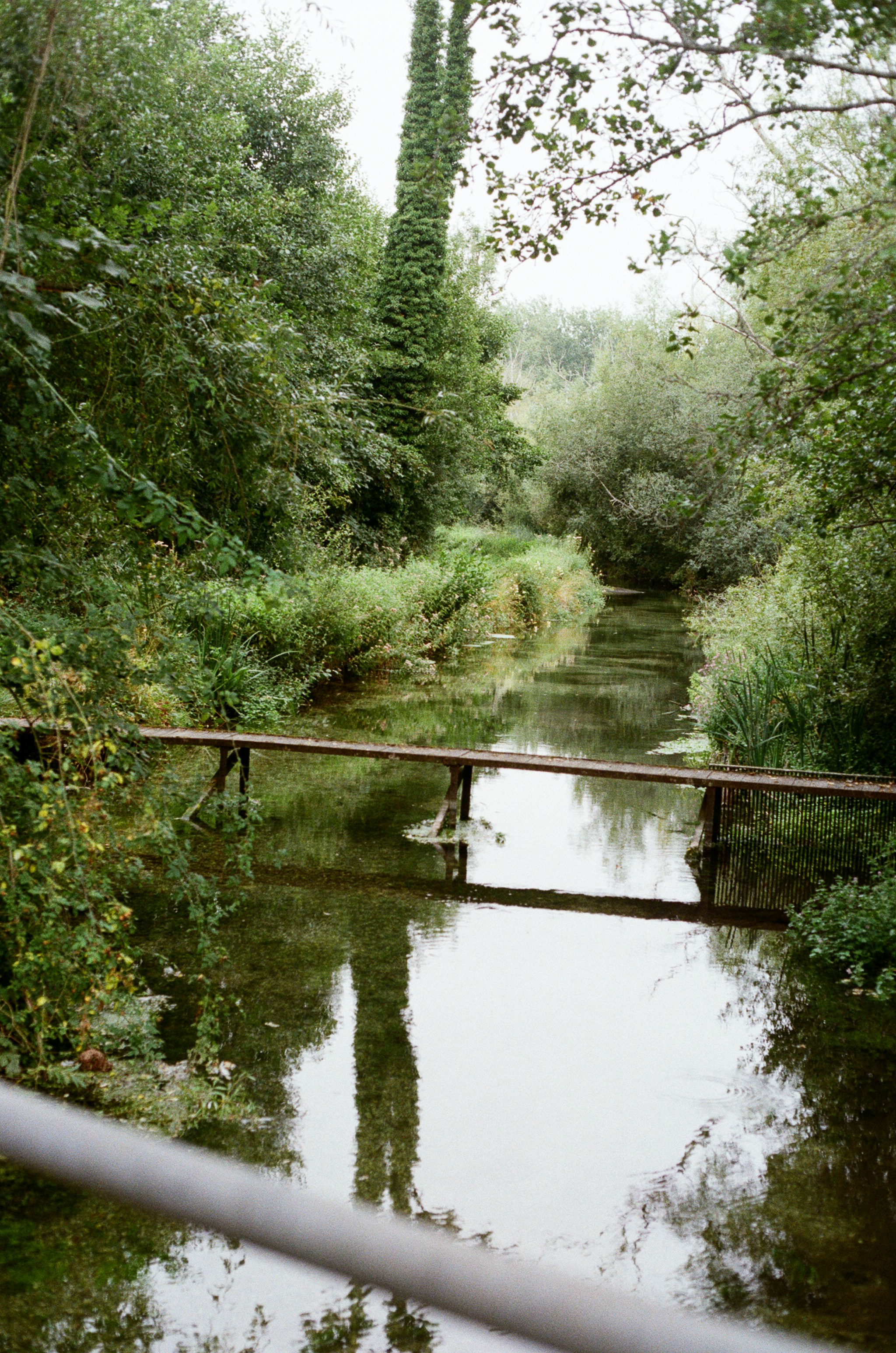 Photo by tanyabarrow