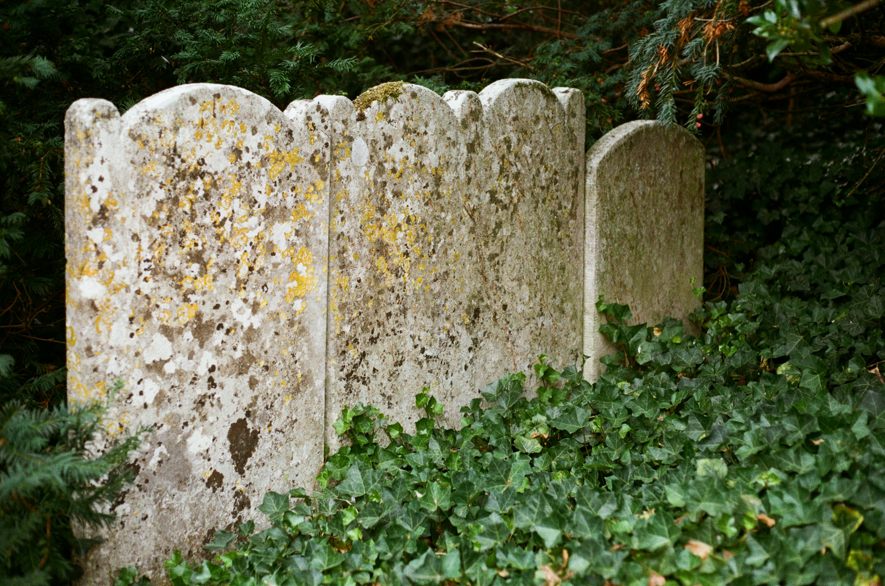 Photo by tanyabarrow