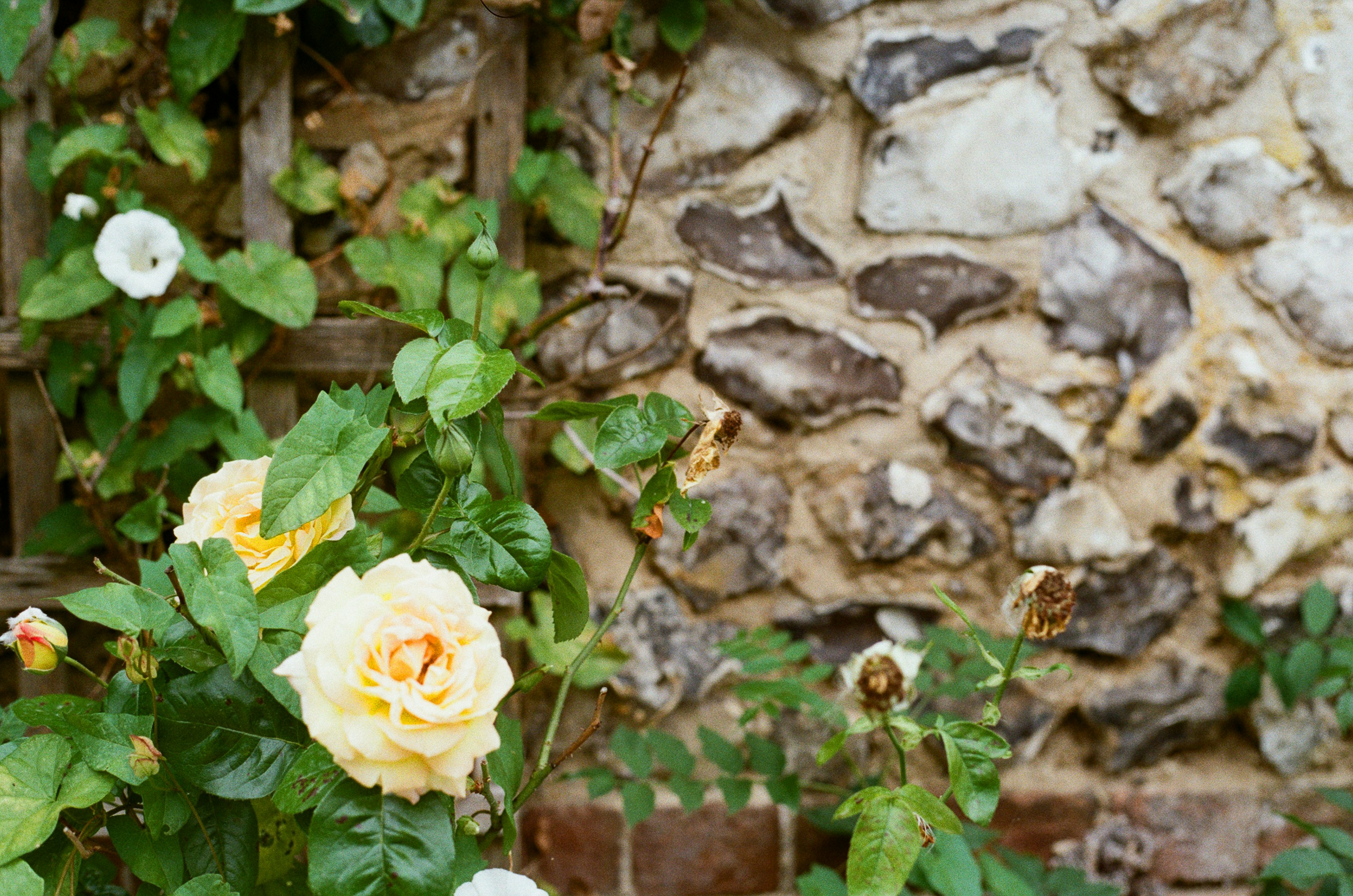 Photo by tanyabarrow