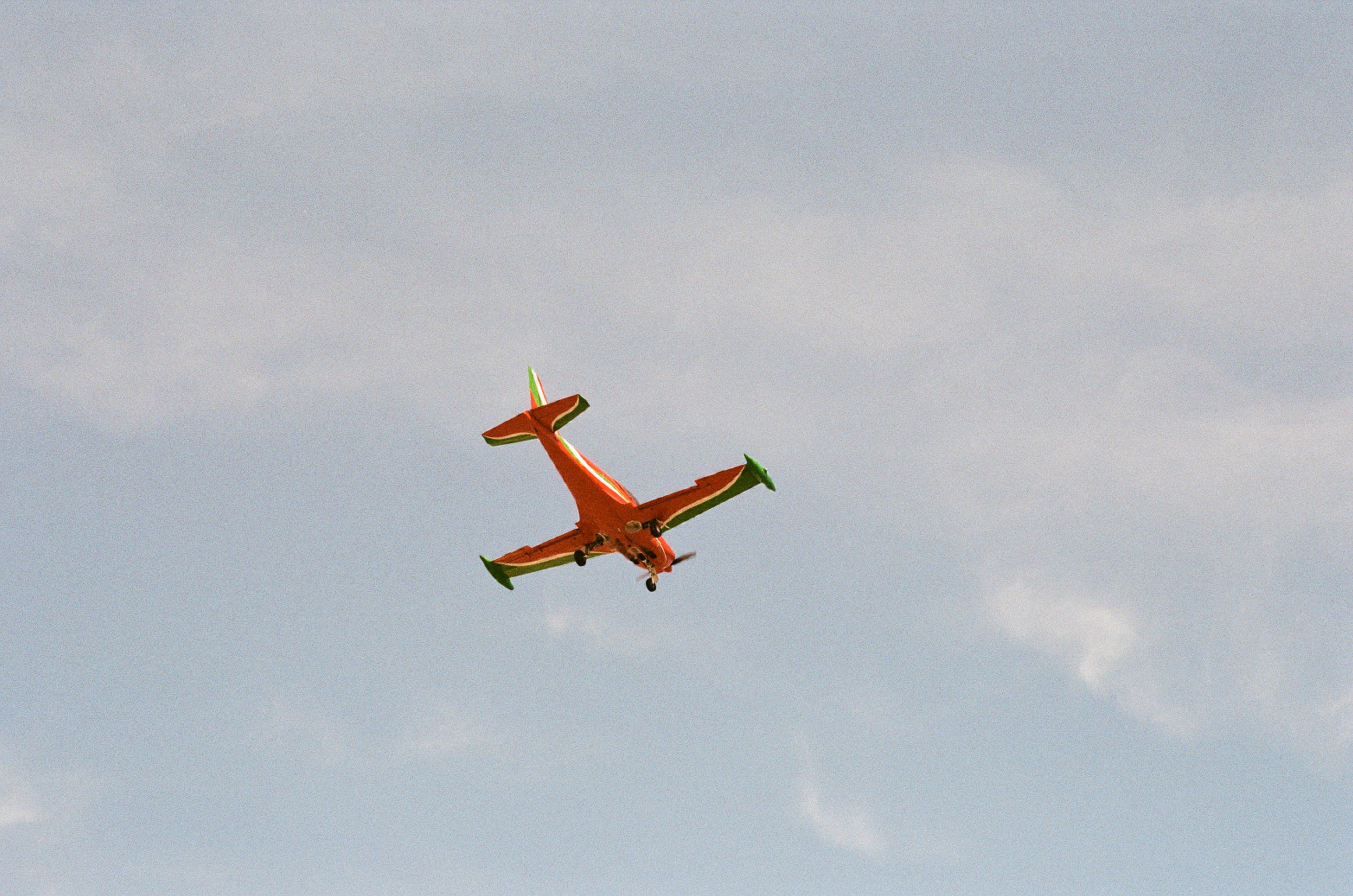 Photo by tanyabarrow