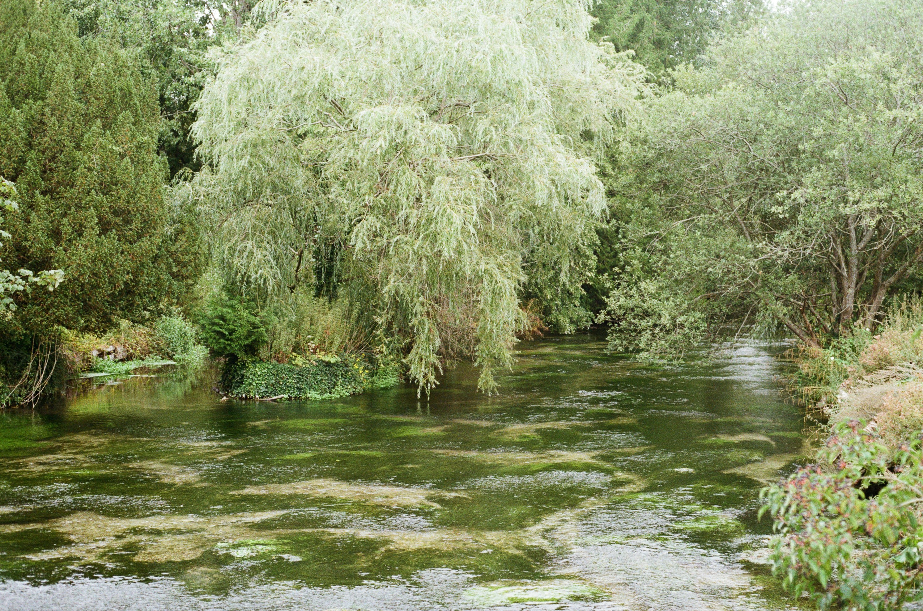 Photo by tanyabarrow