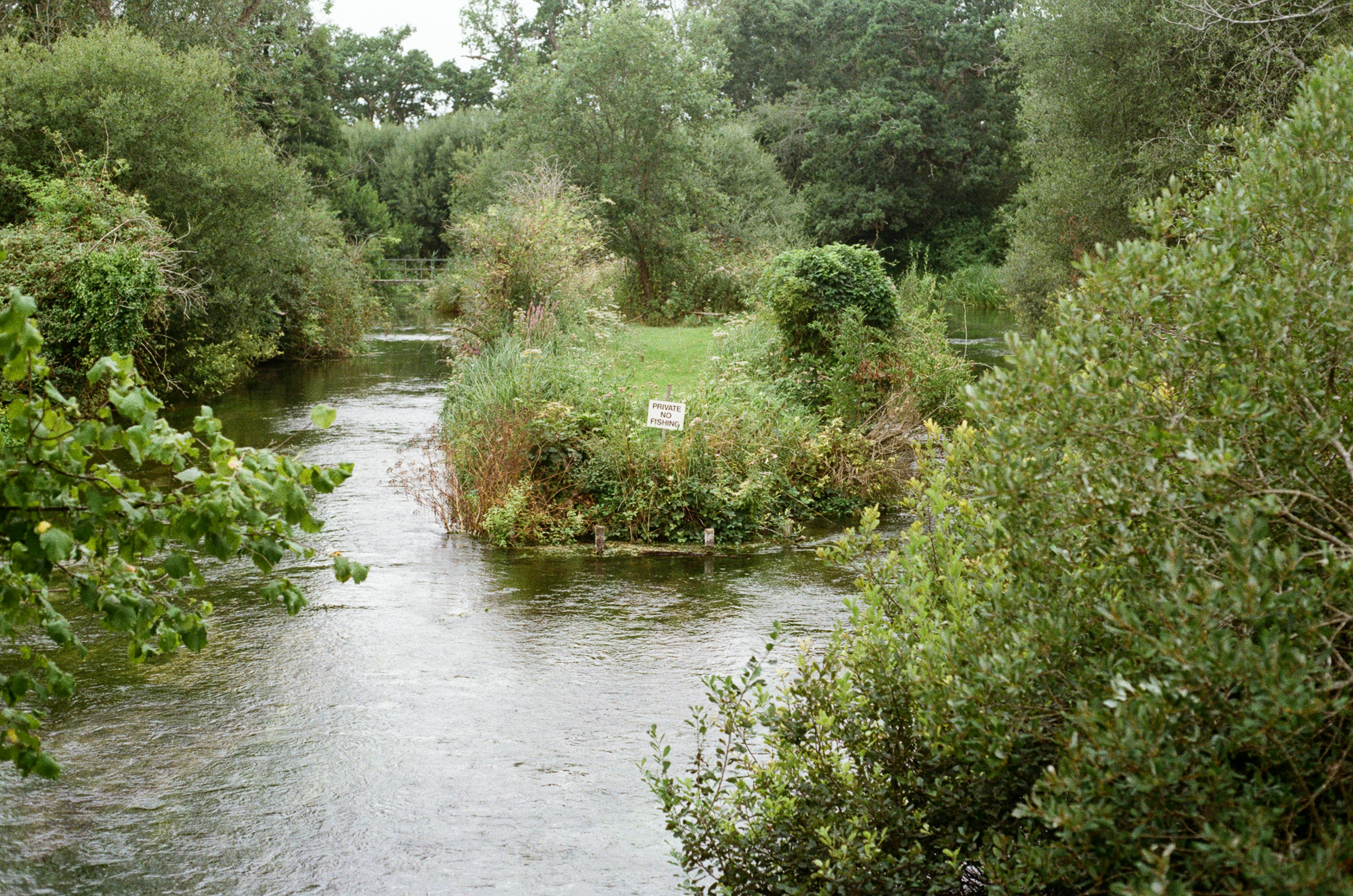 Photo by tanyabarrow