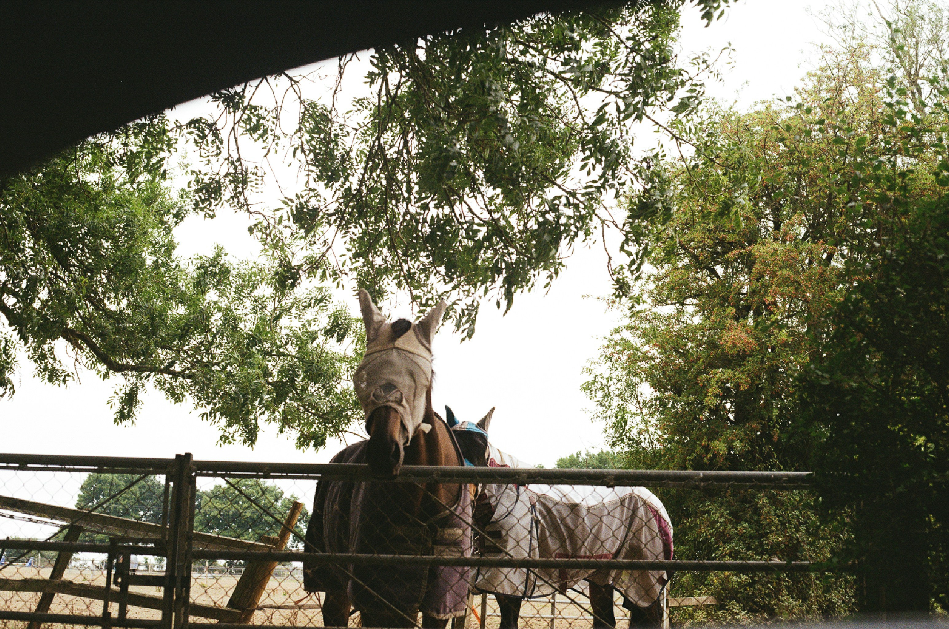 Photo by tanyabarrow