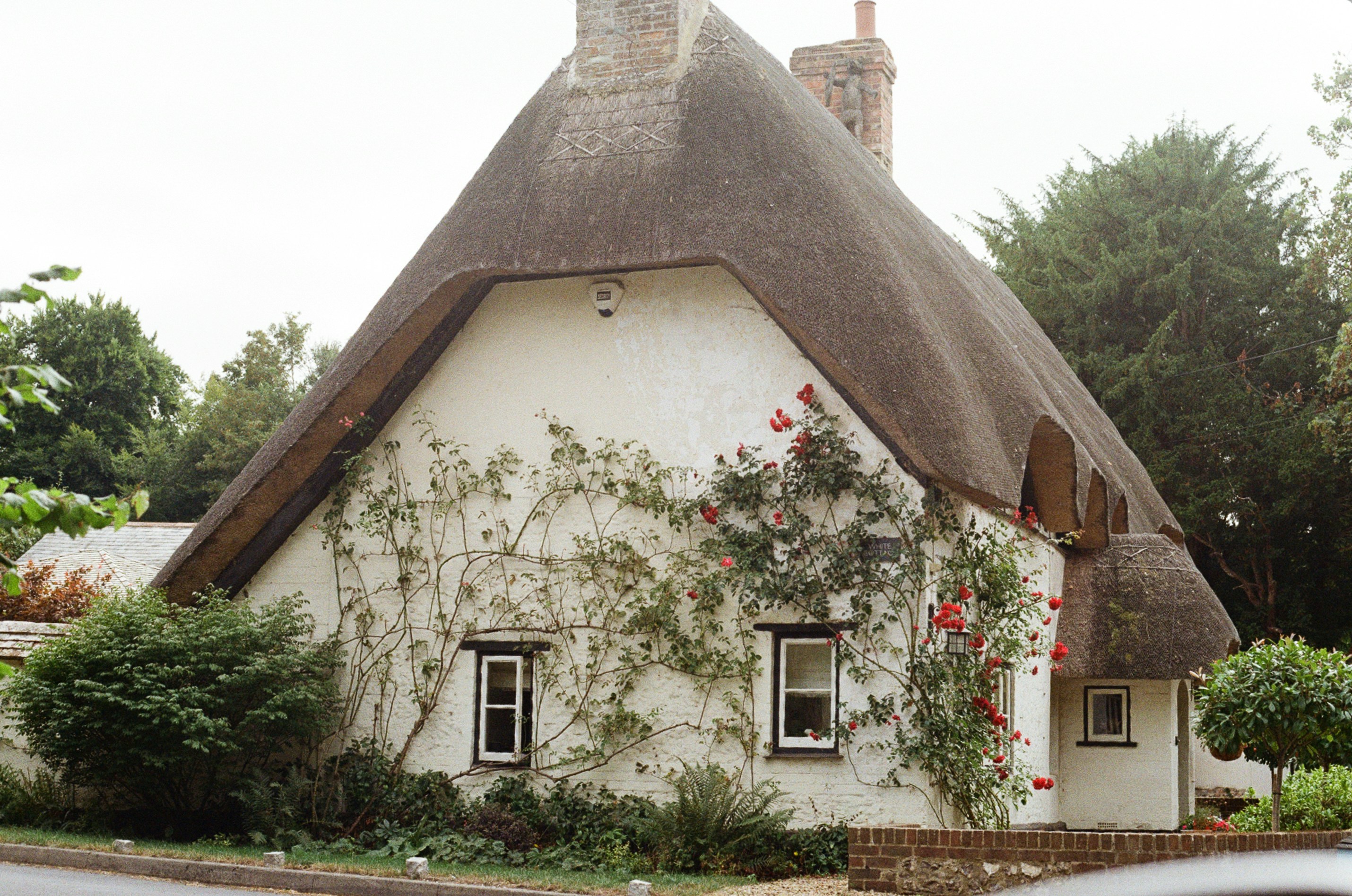 Photo by tanyabarrow