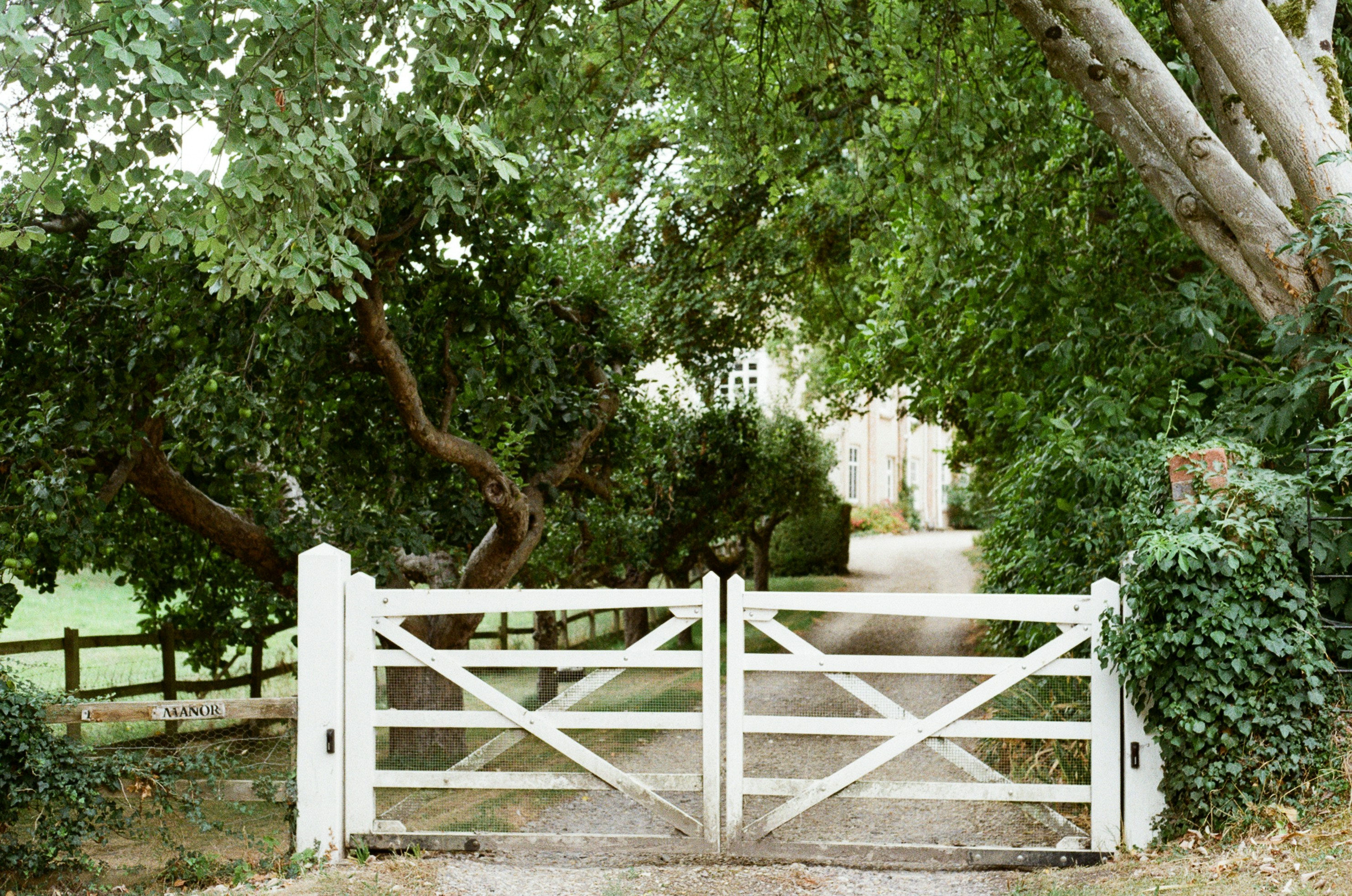 Photo by tanyabarrow