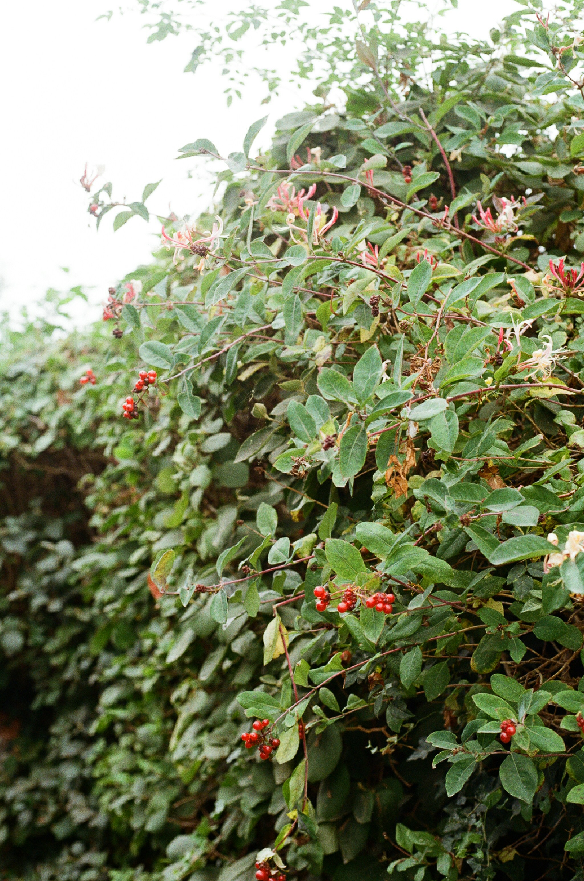 Photo by tanyabarrow