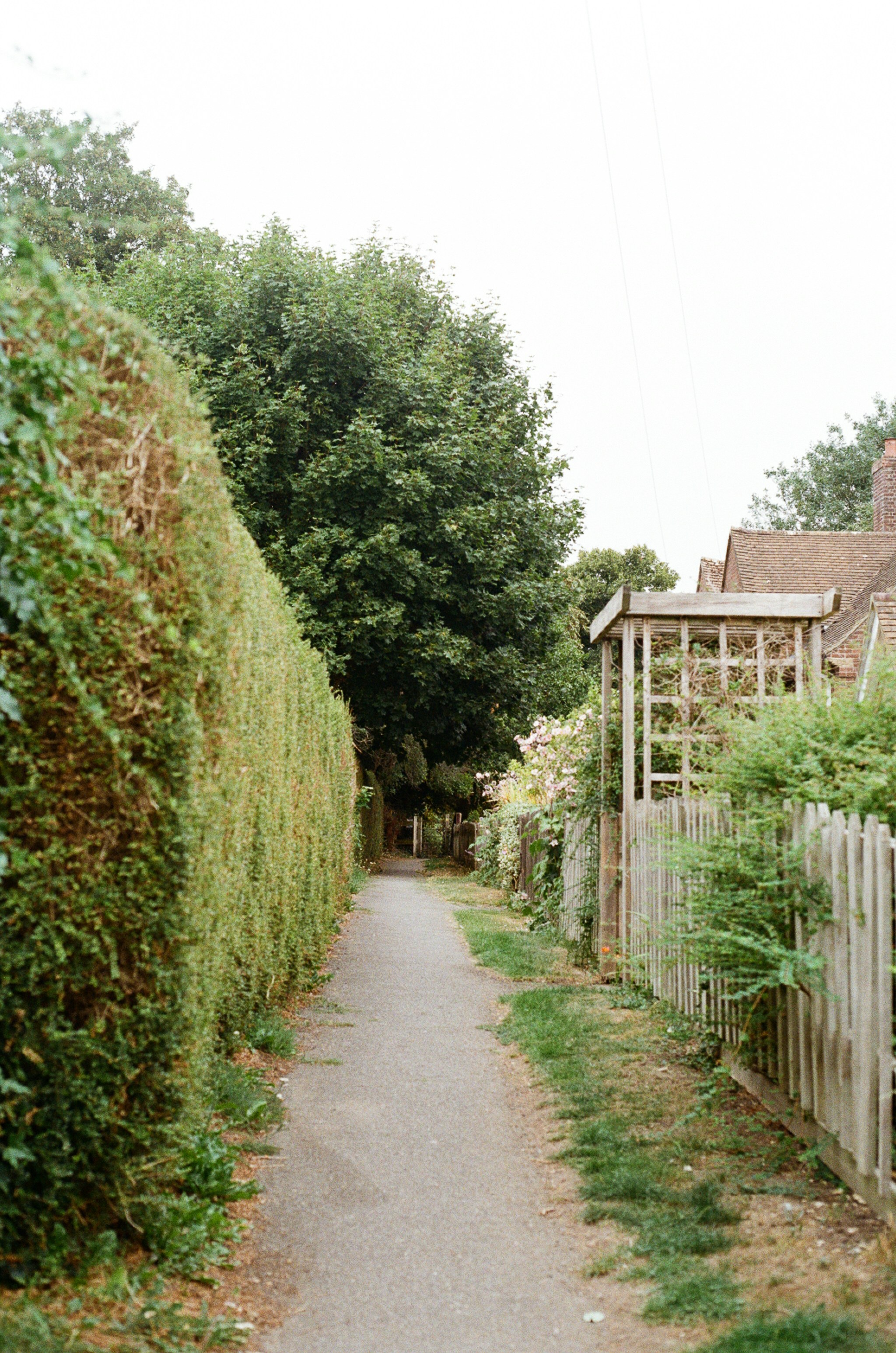 Photo by tanyabarrow