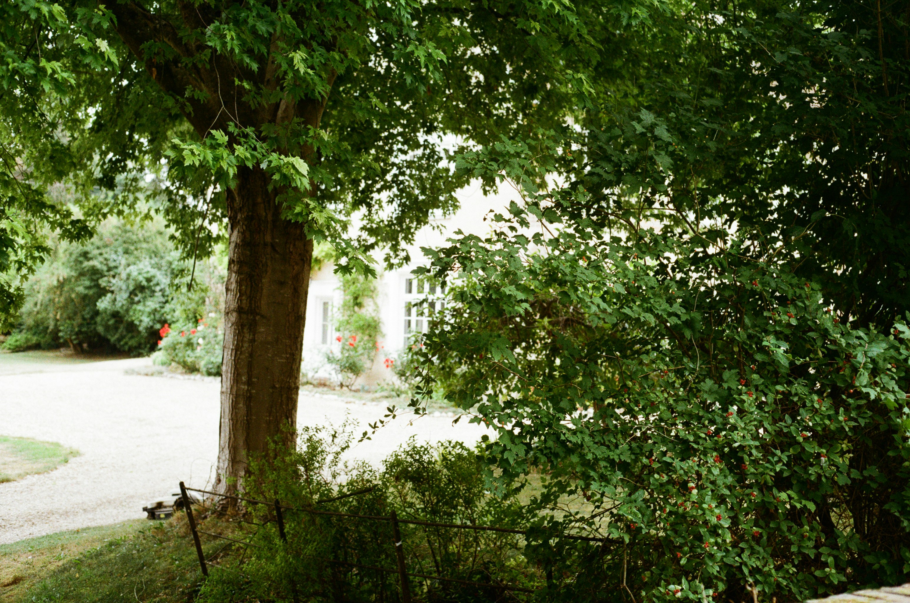 Photo by tanyabarrow