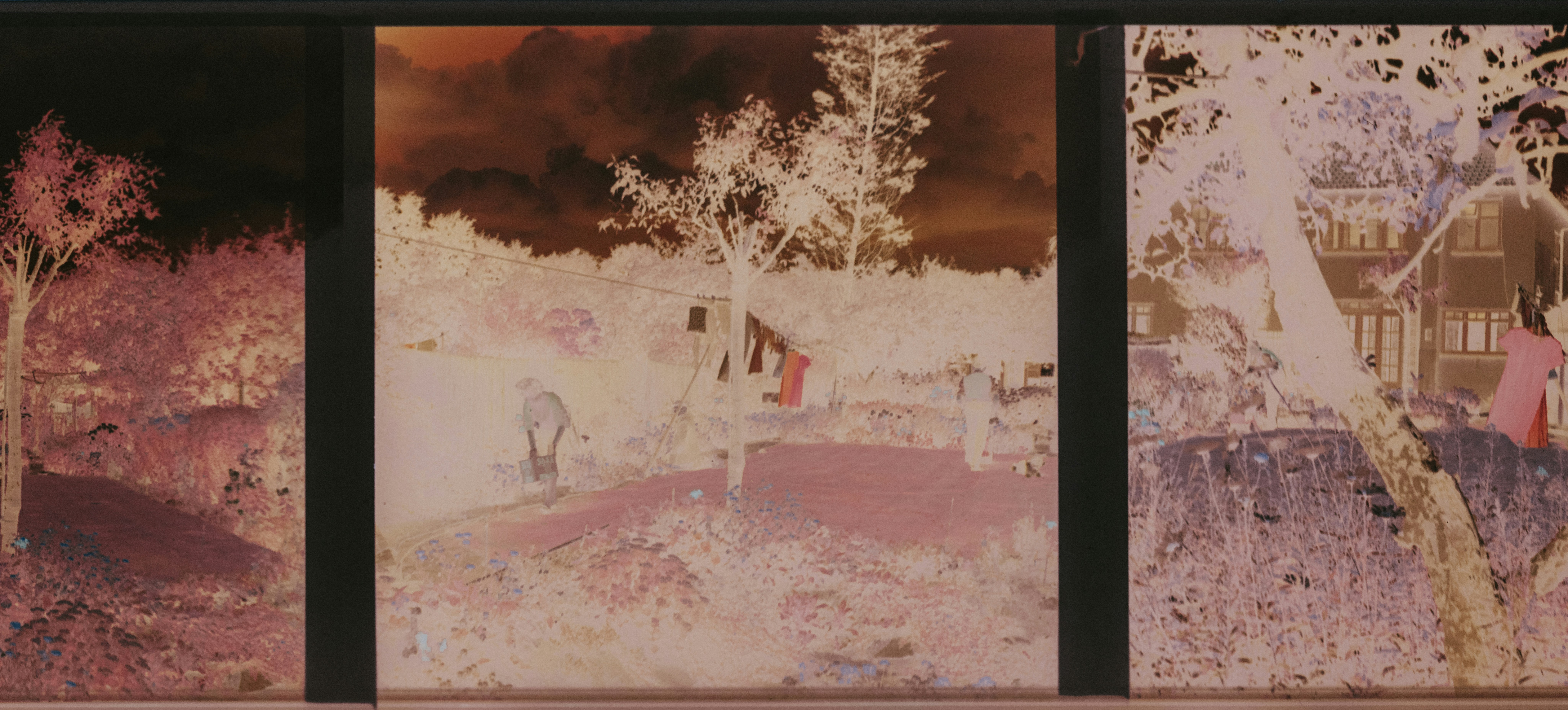 Photo by anniespratt