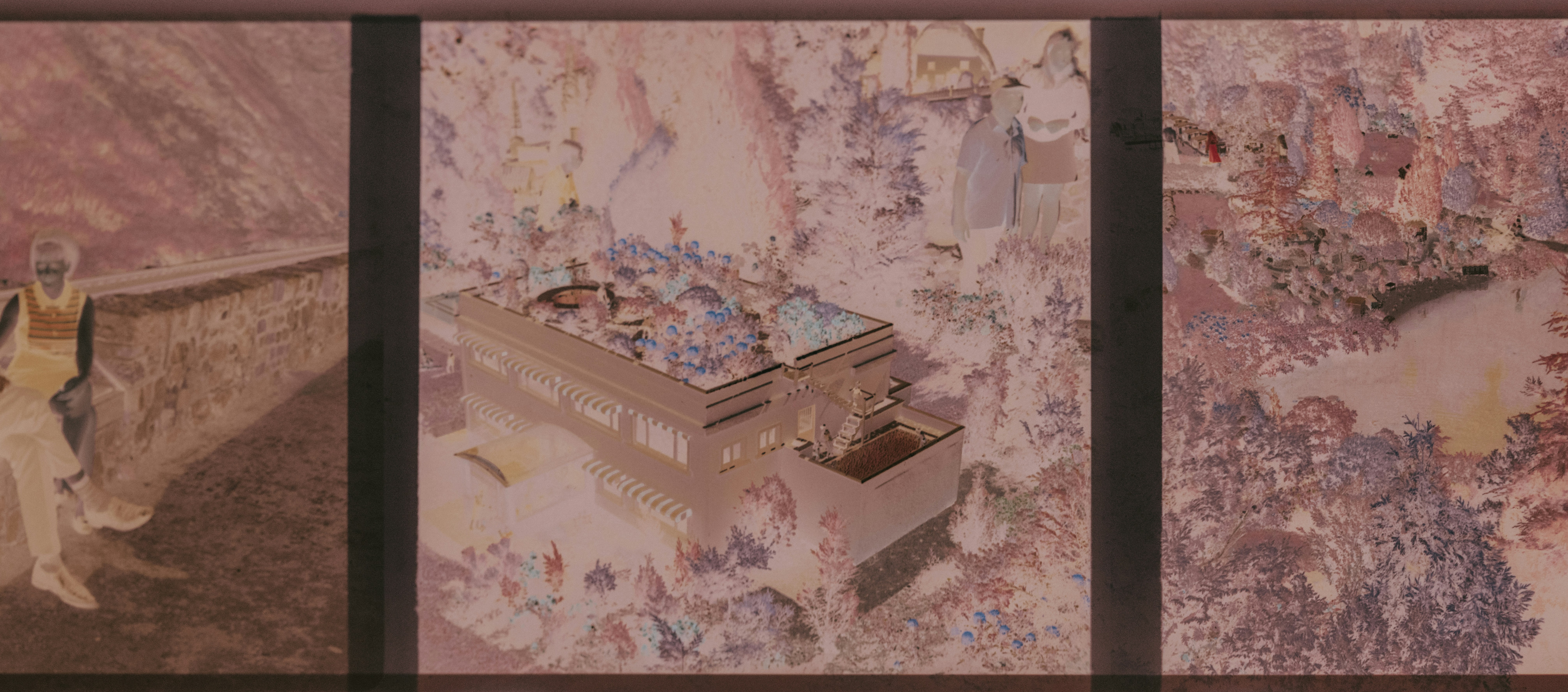 Photo by anniespratt