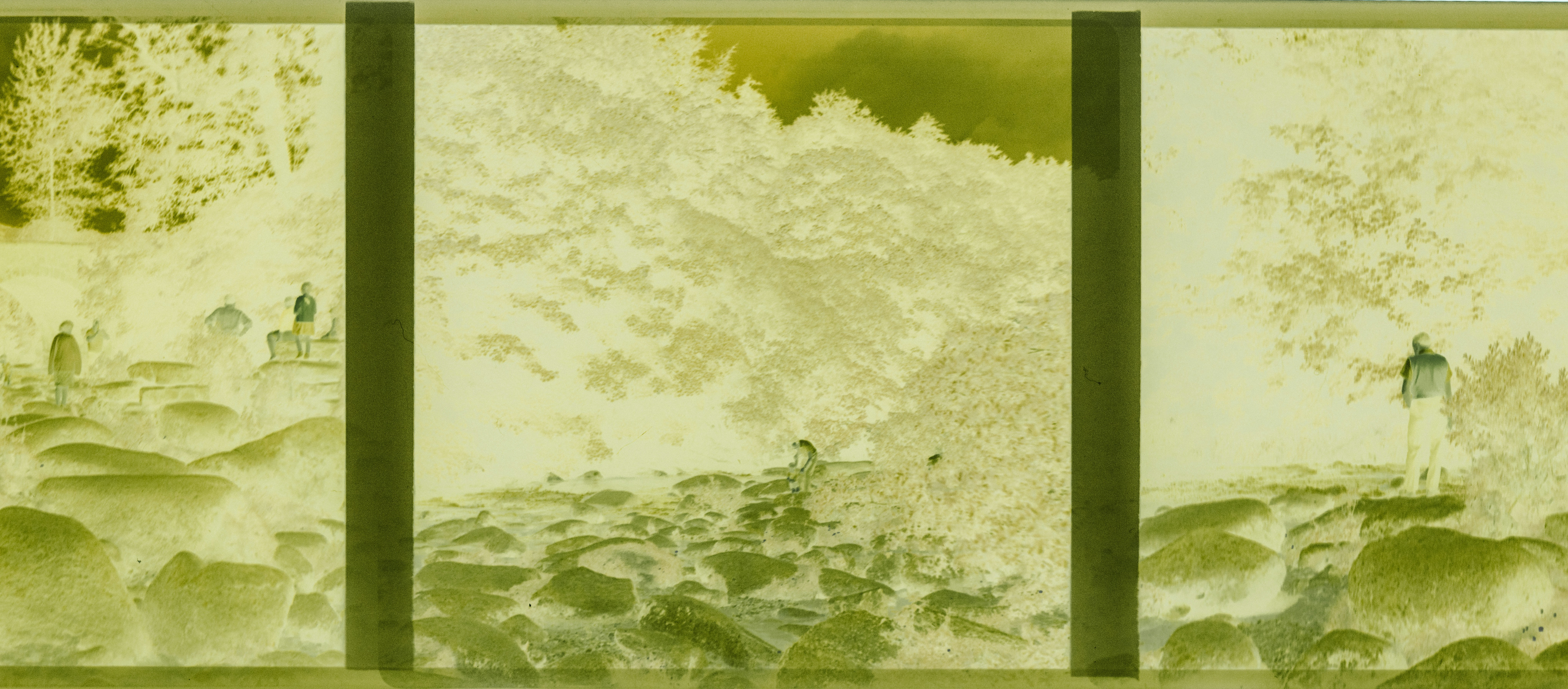 Photo by anniespratt