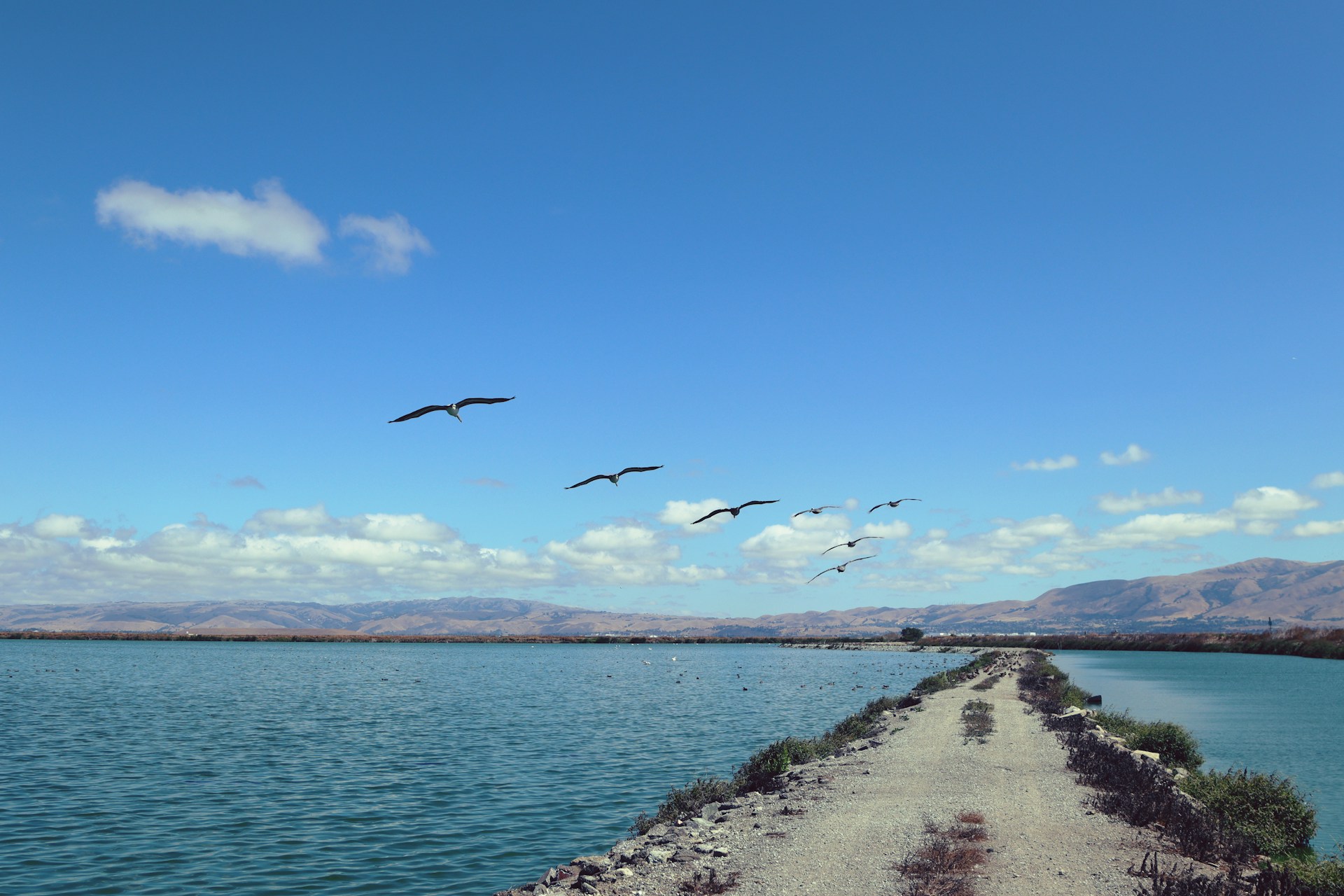 Birds fly over a calm lake with distant mountains.