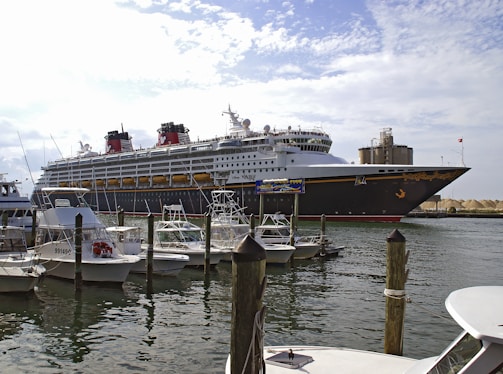 Large cruise ship docked near smaller boats