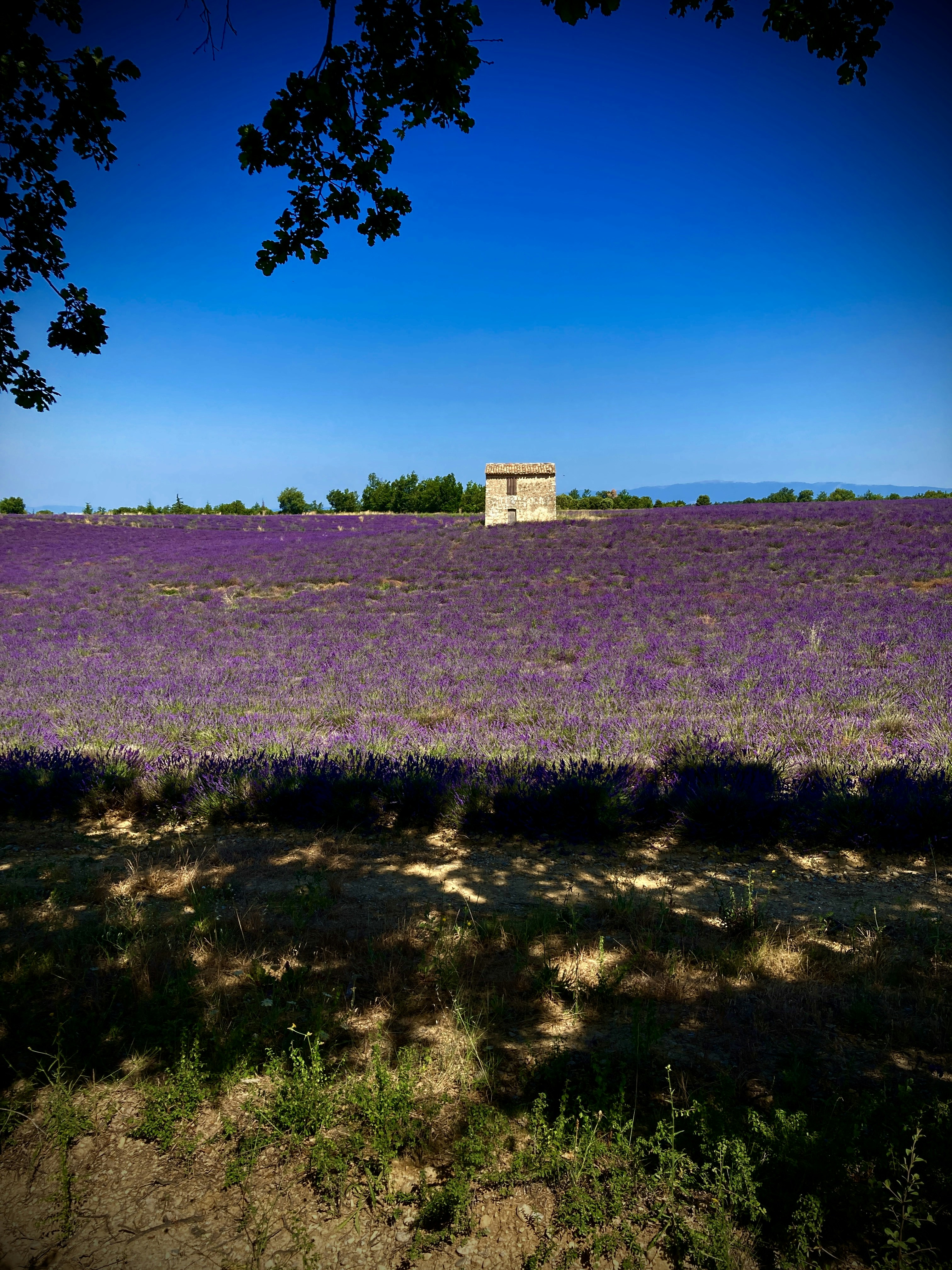 Photo by topoaventure