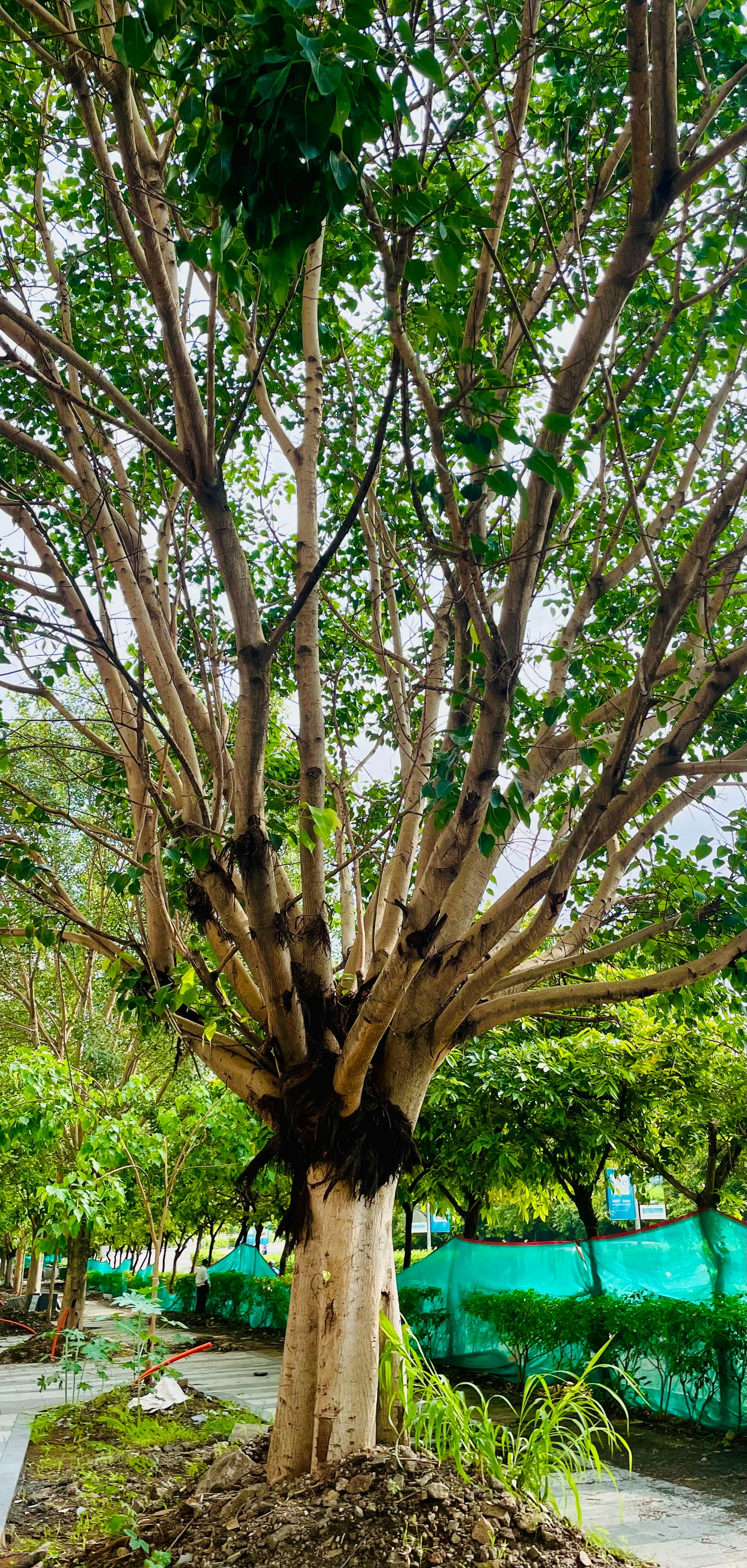 Photo by zeal_detour