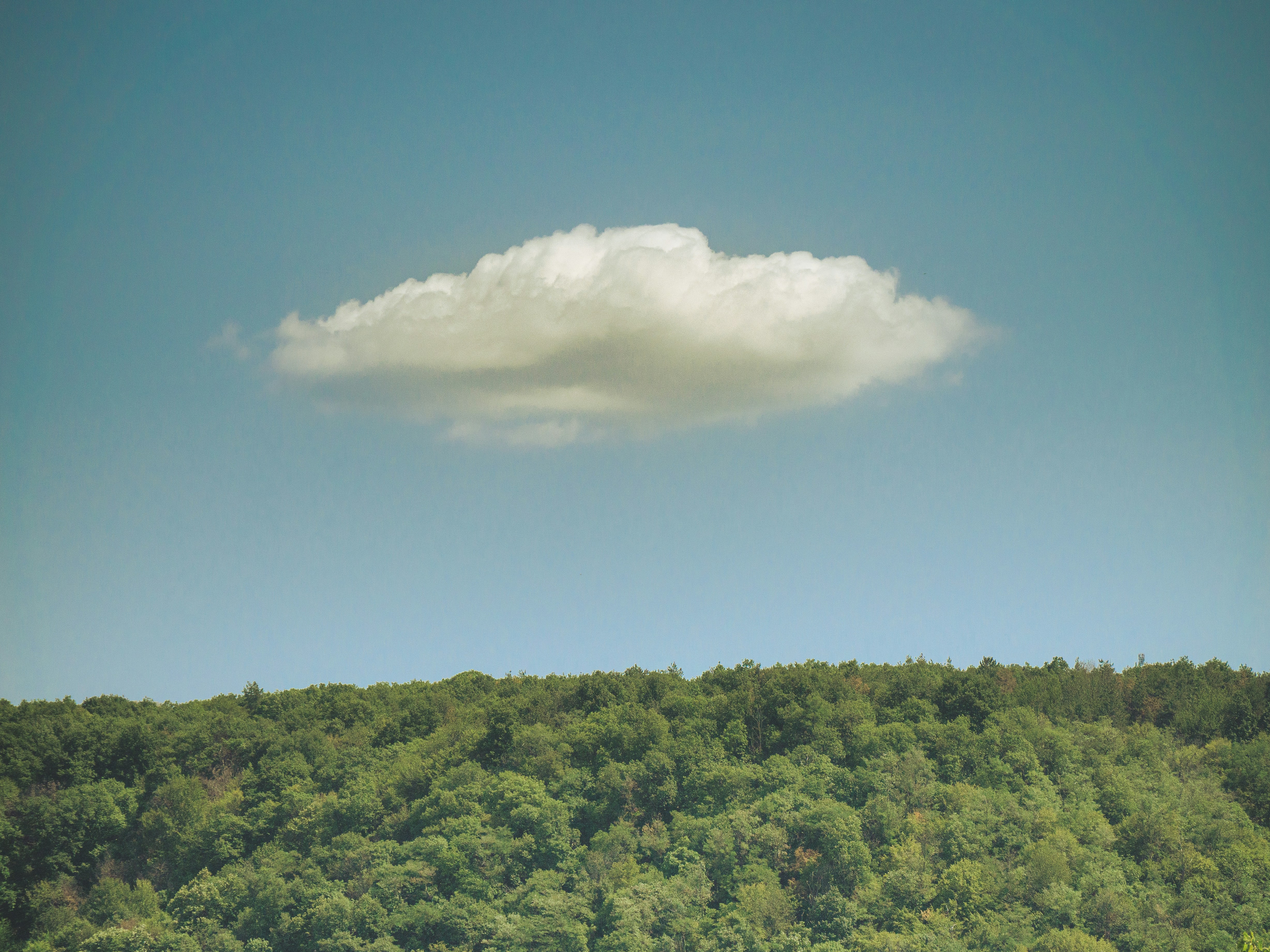 Furnizor de servicii cloud anunță extinderea centrului de date din București