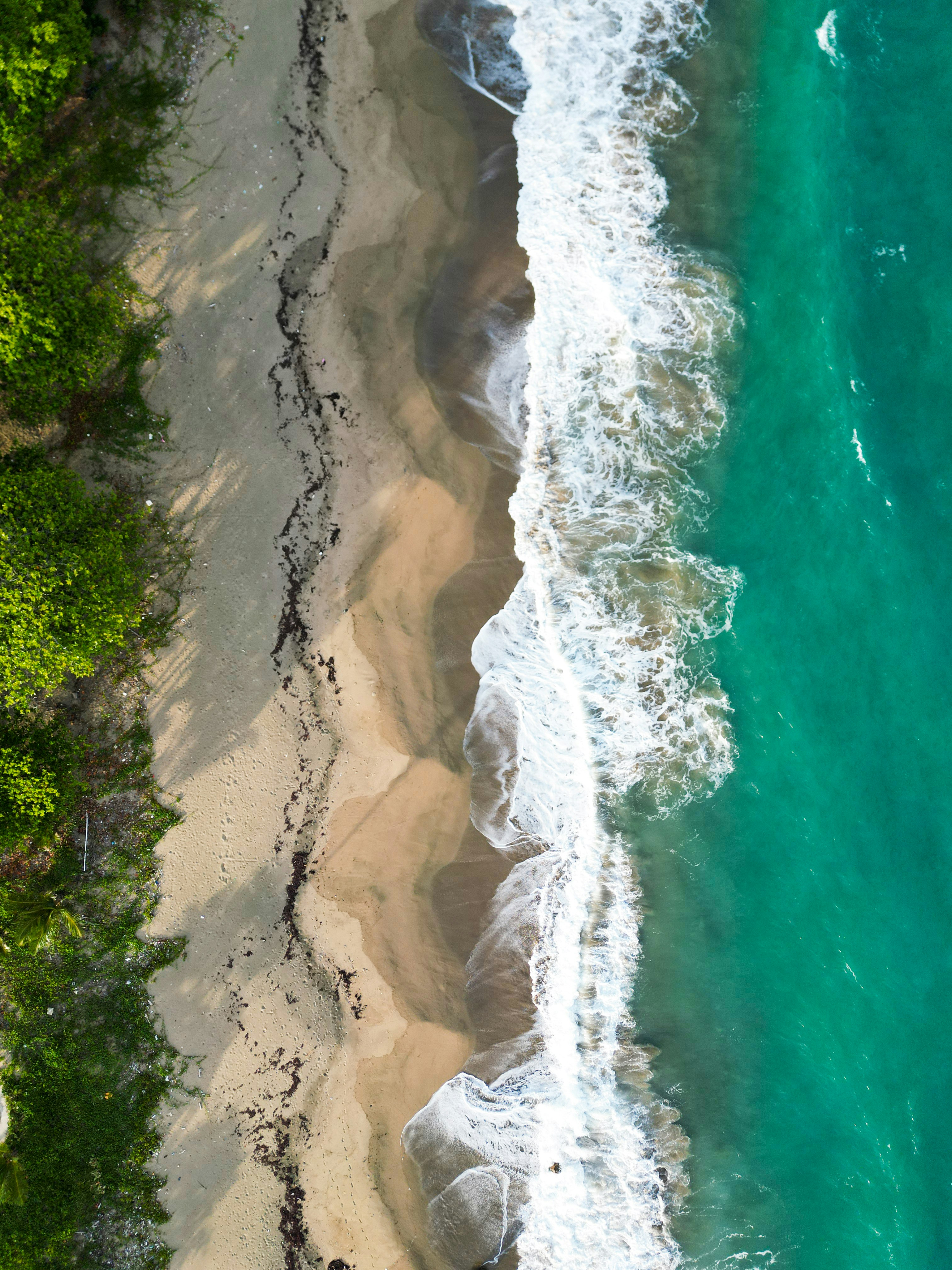 Photo by guzman123456