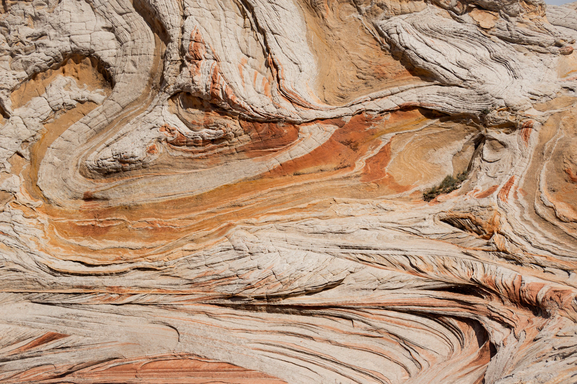 Abstract sandstone formations with swirling orange and white patterns
