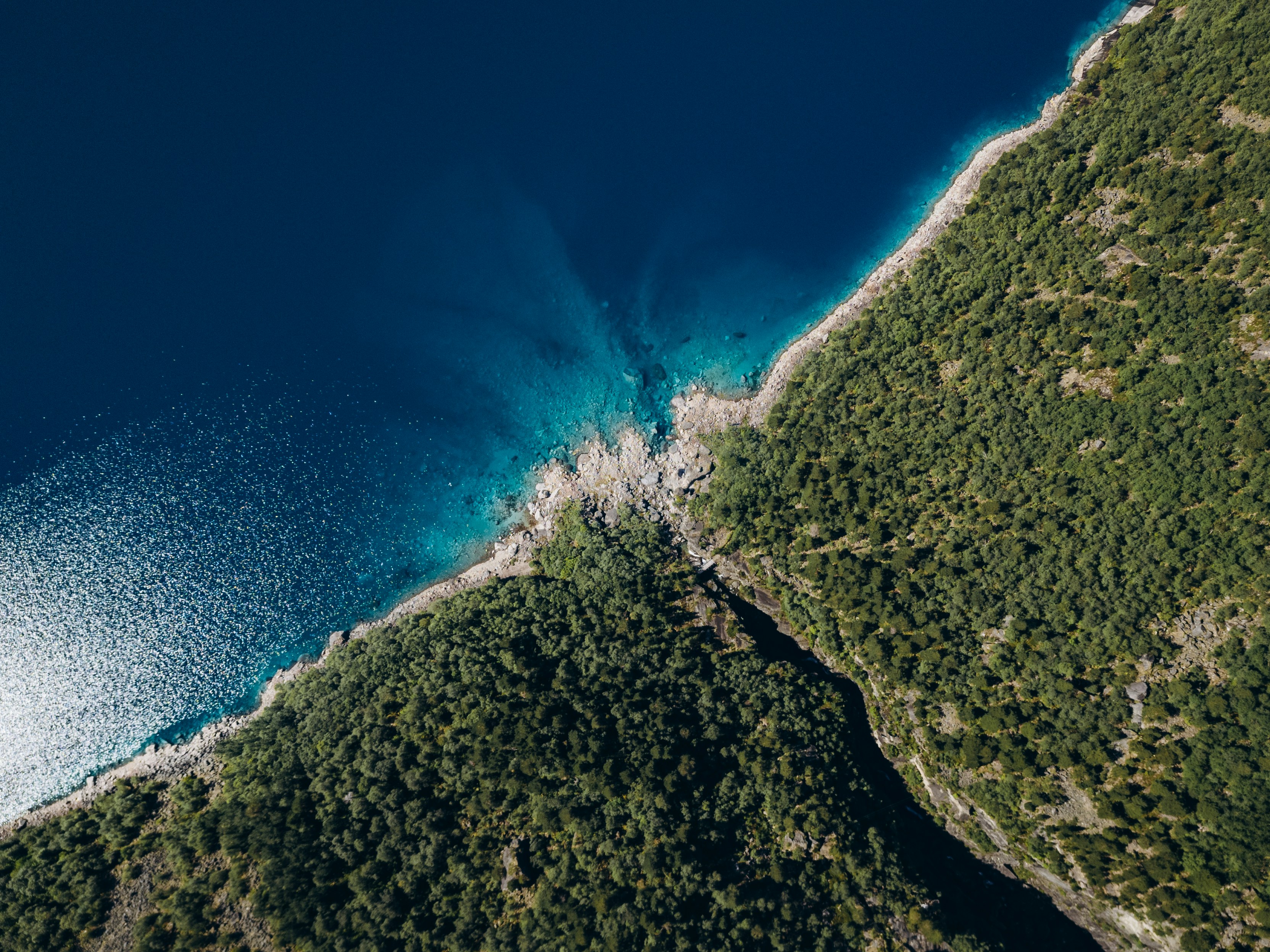 Photo by jonathanborba