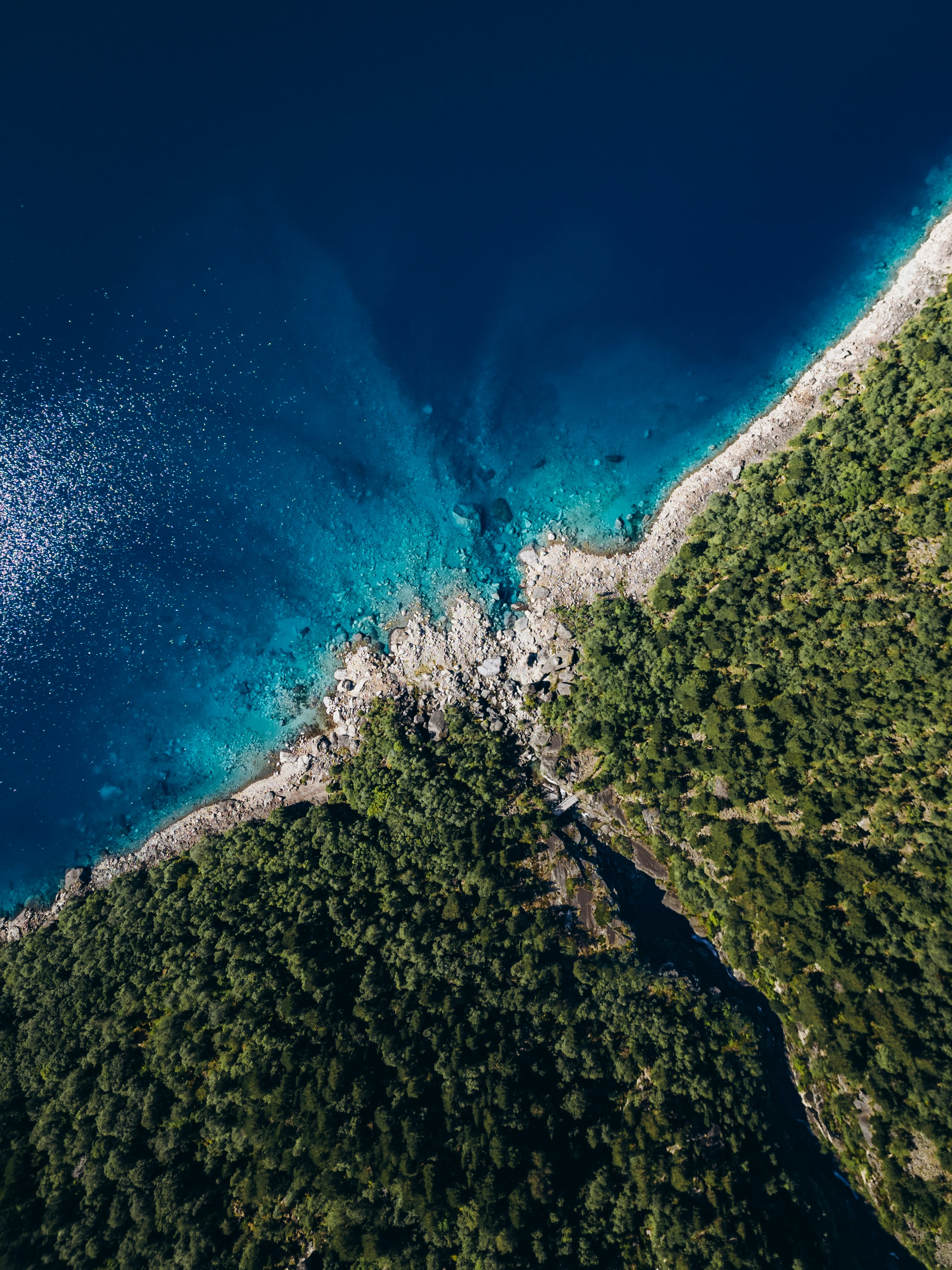 Photo by jonathanborba