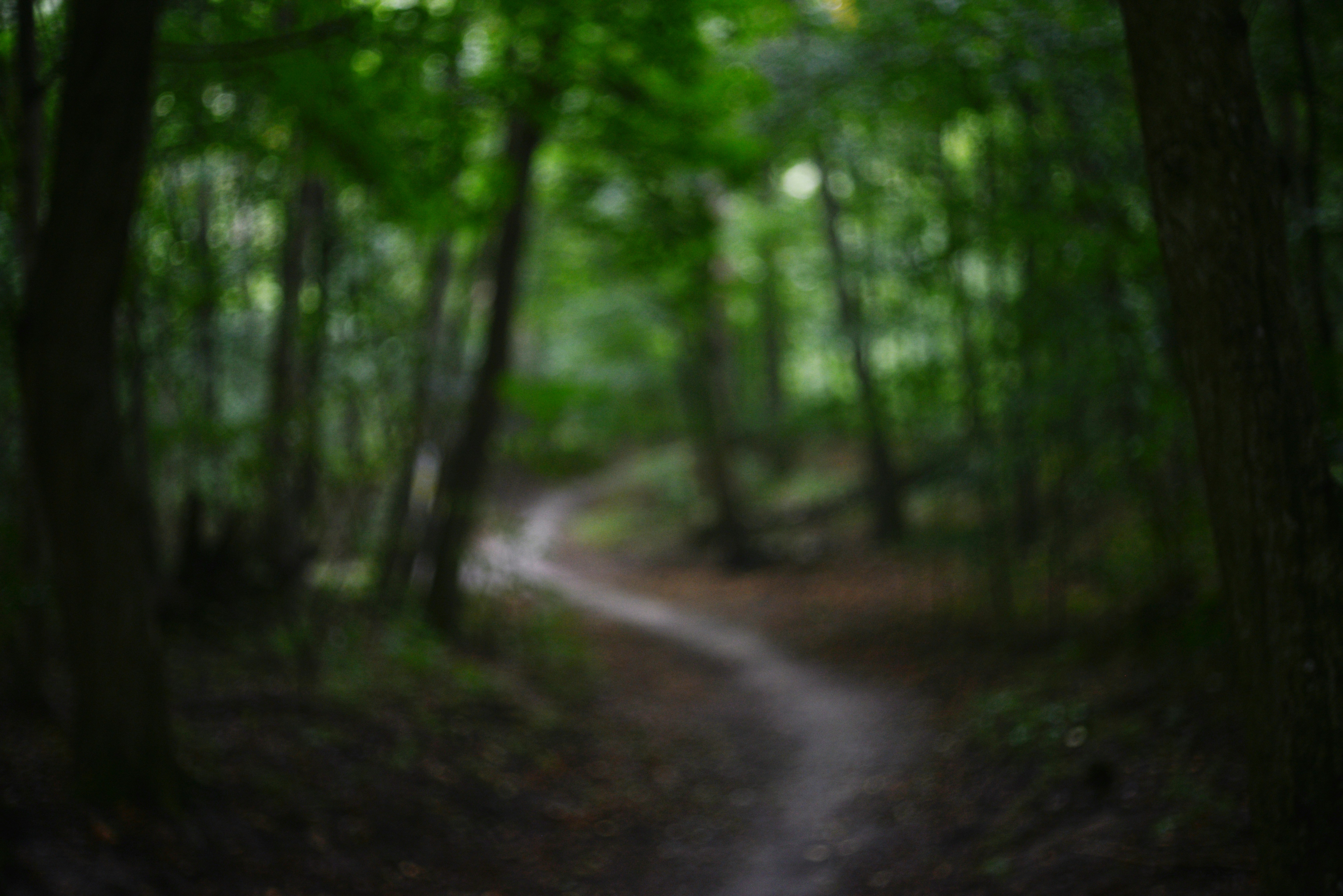 Photo by cherstve_pechivo