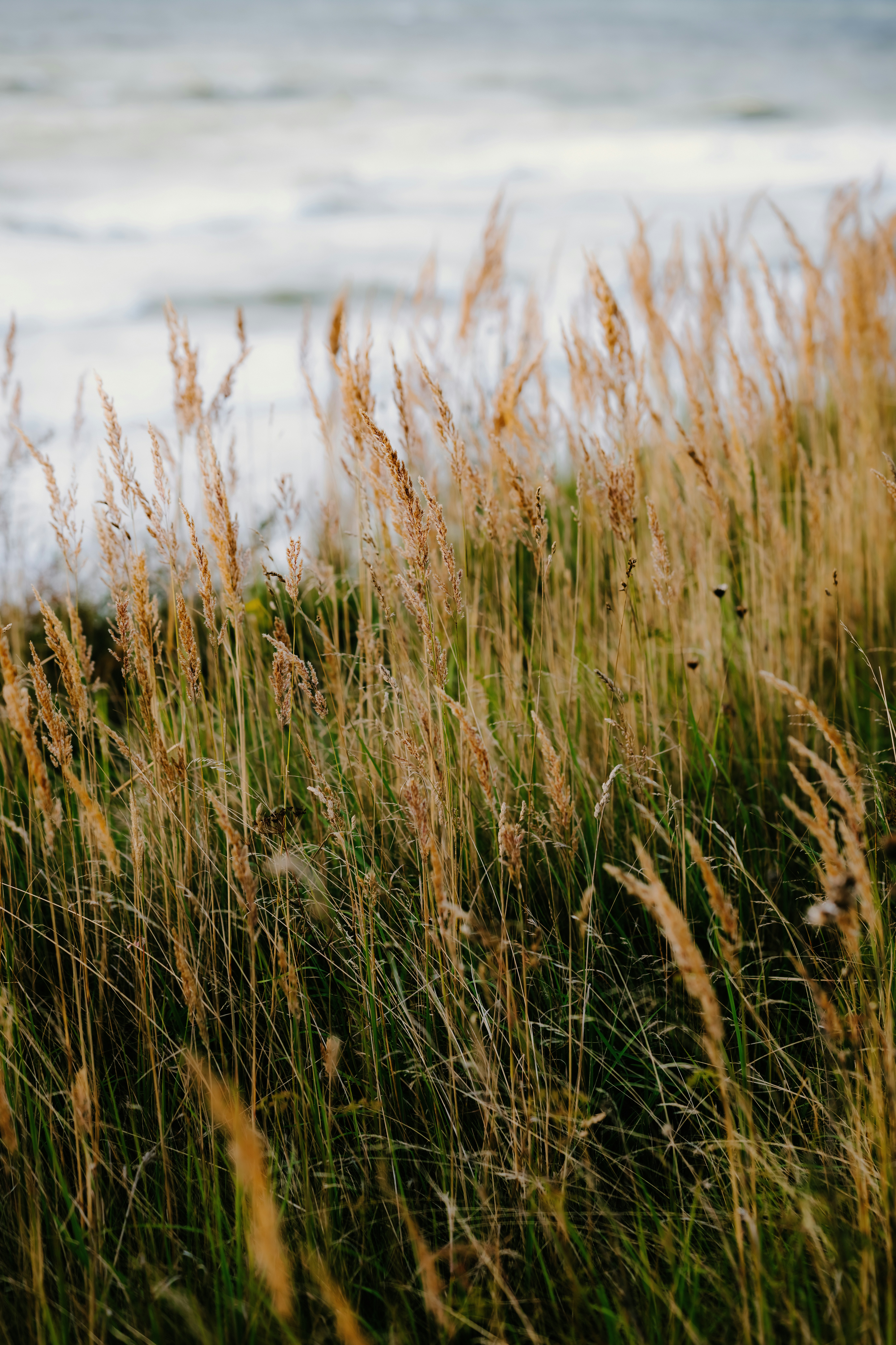 Photo by kristapsungurs