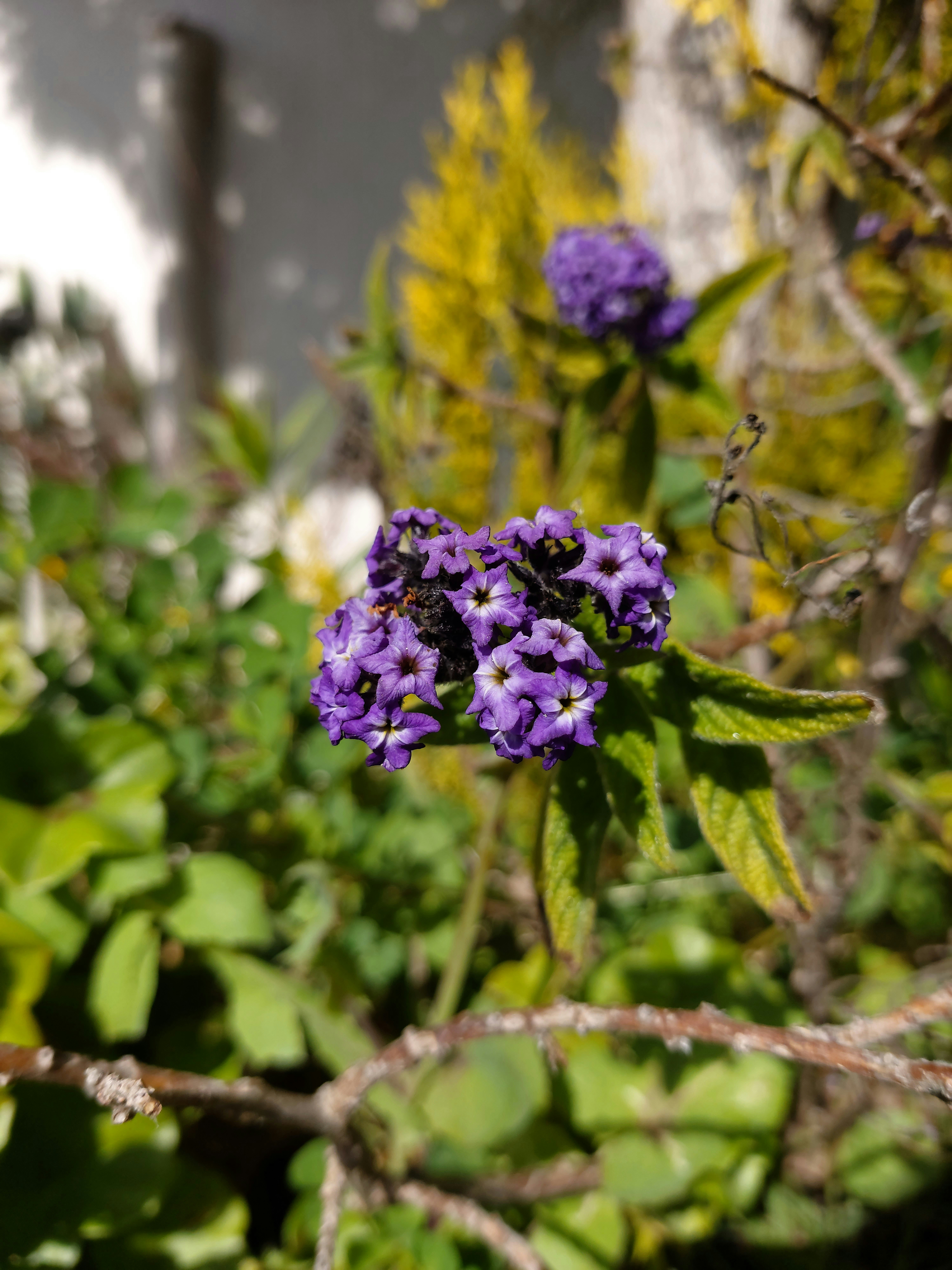 Photo by lisavictor