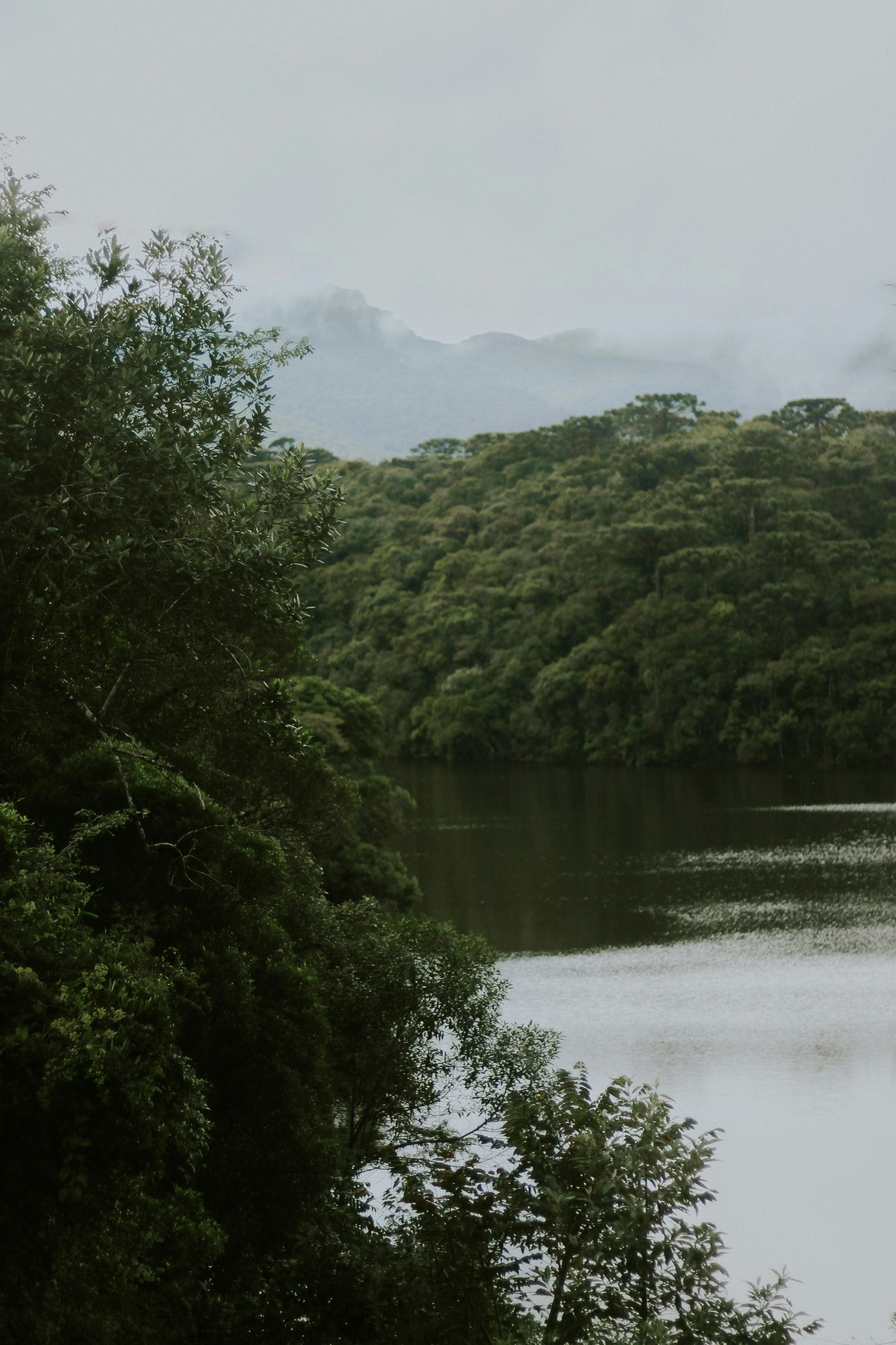 Photo by nathaliarantes