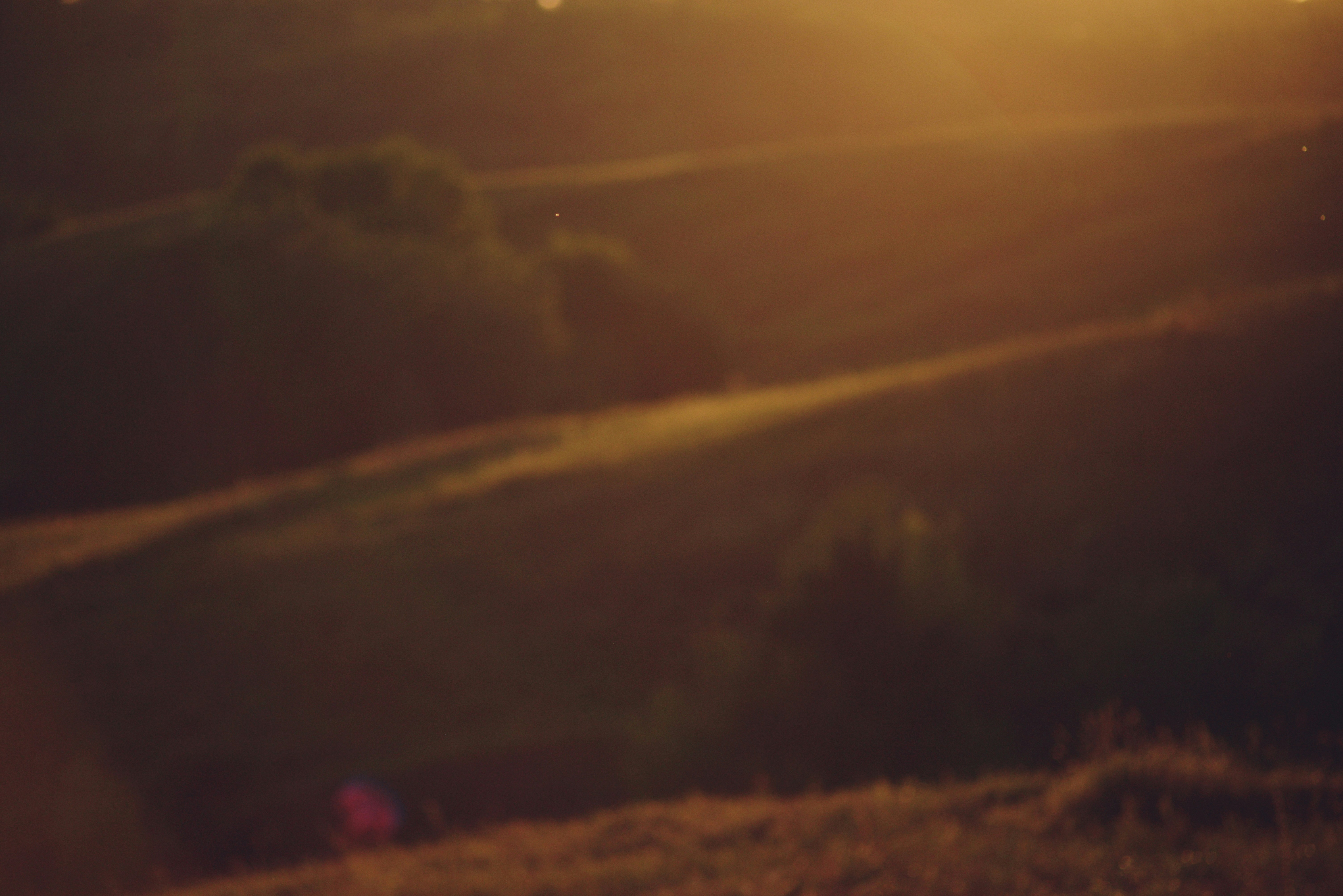 Photo by cherstve_pechivo