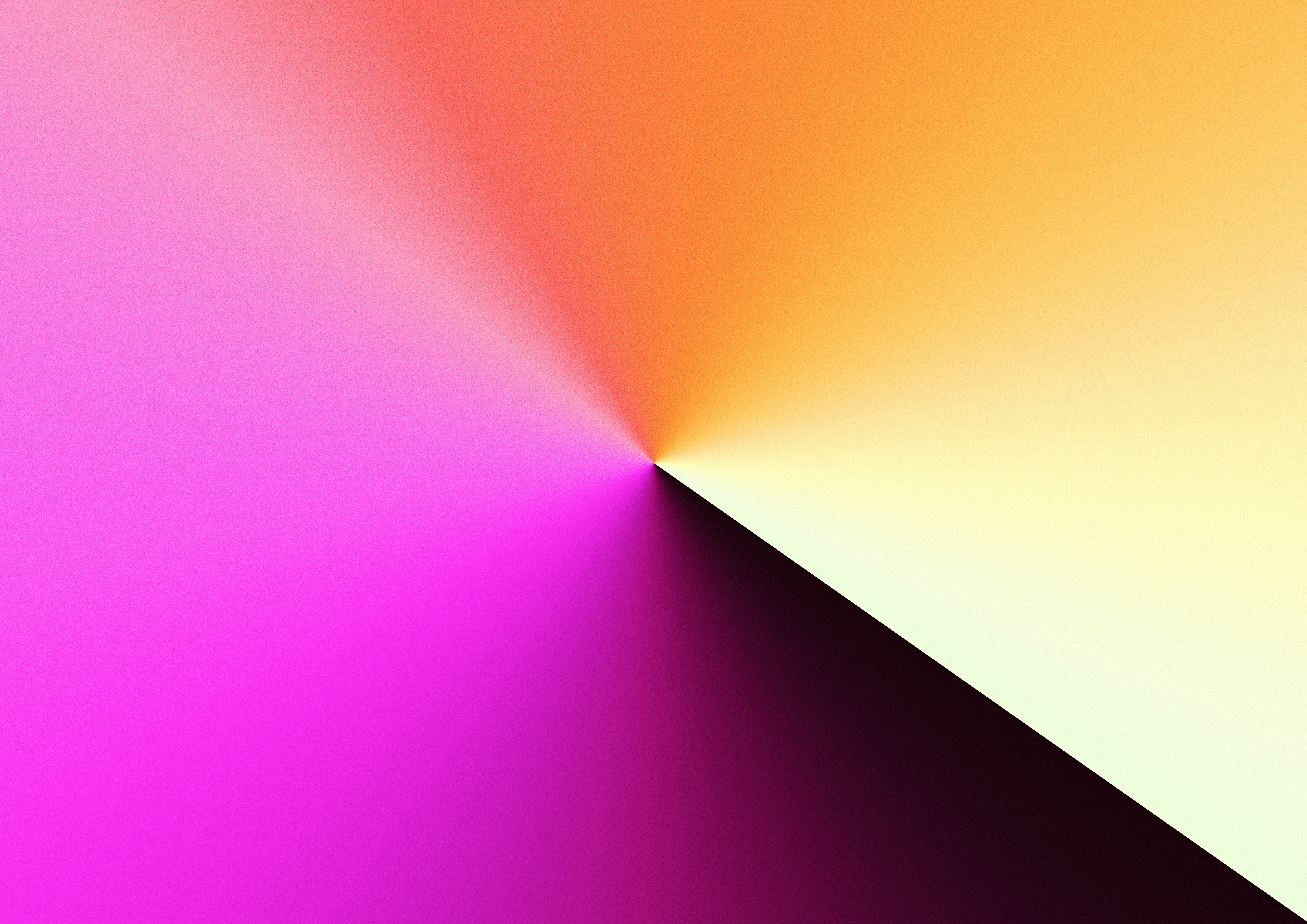 Photo by andreicastanha