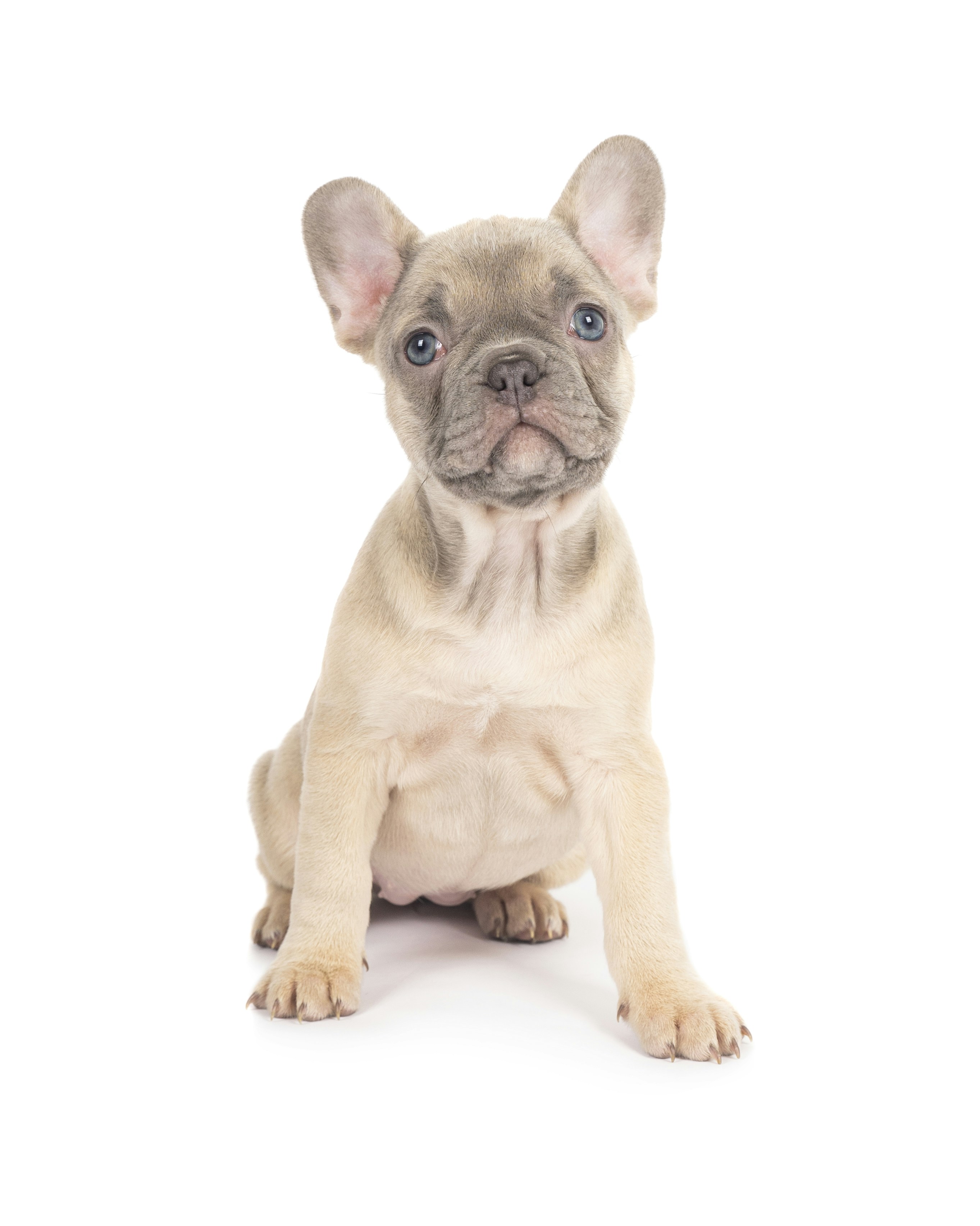 Photo by hollyfrejaphotography