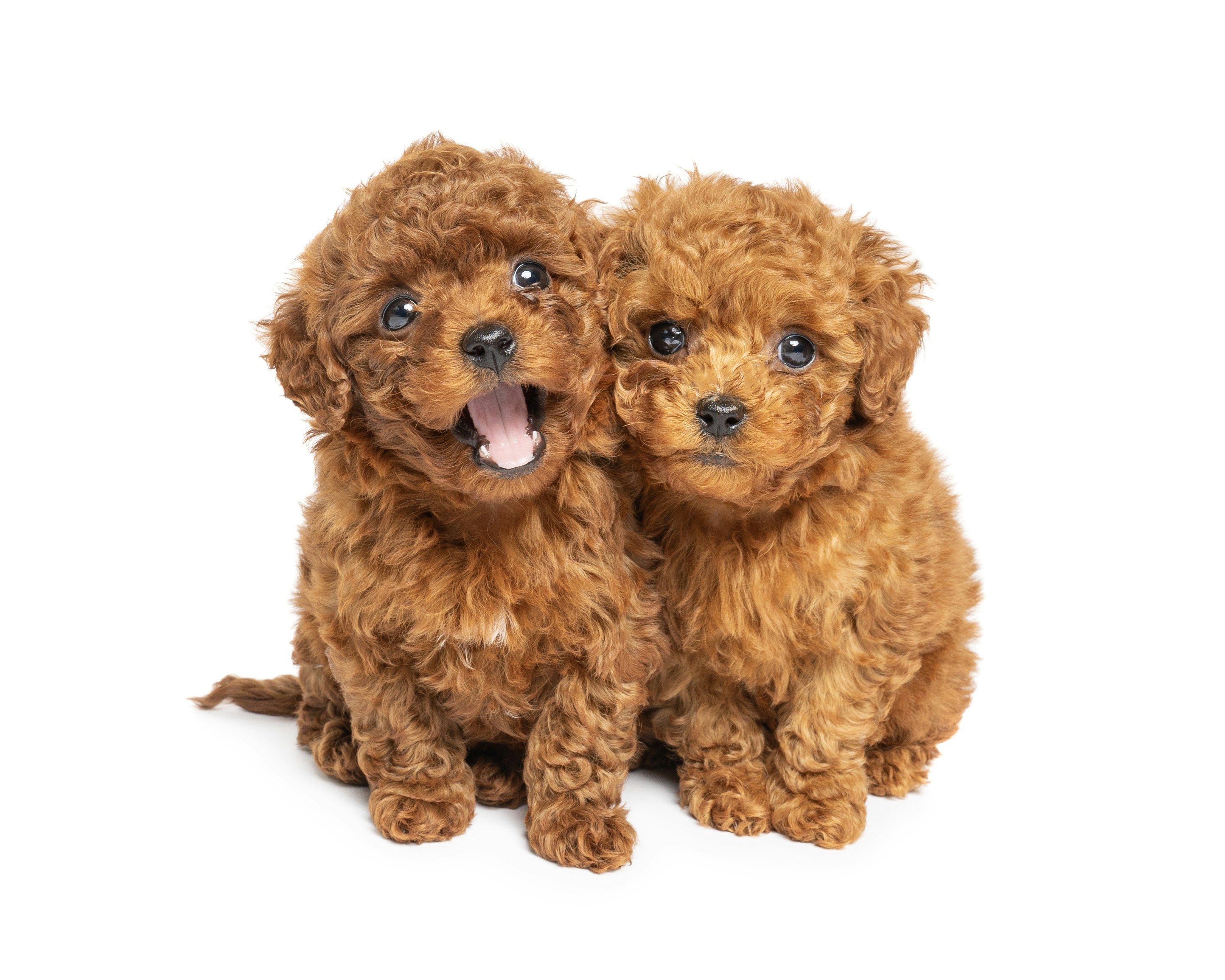 Photo by hollyfrejaphotography