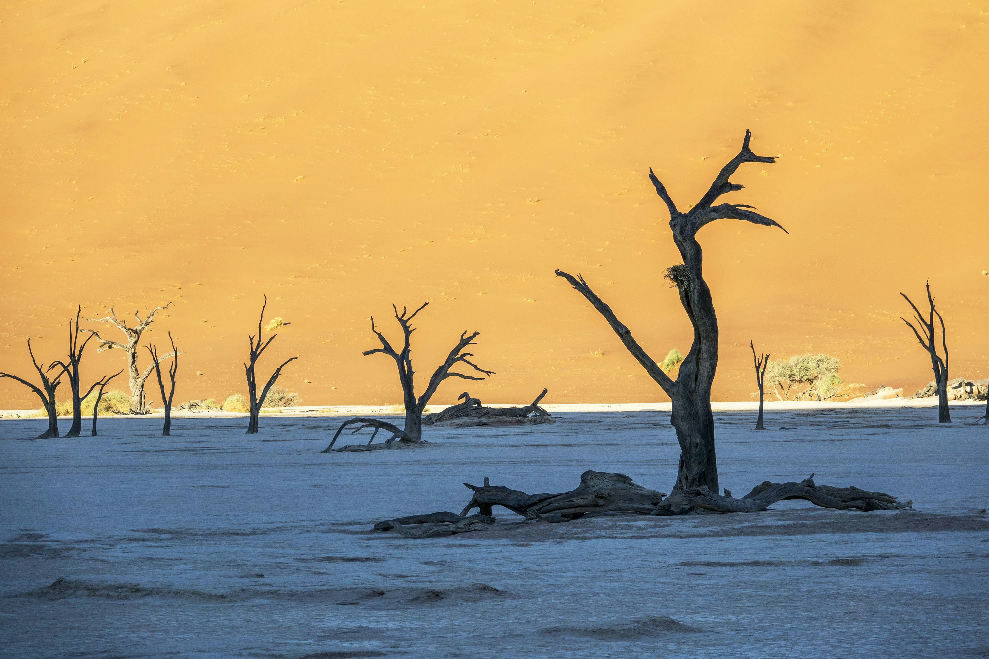 소액결제현금화 | 안전하고 빠른 현금화 서비스 안내