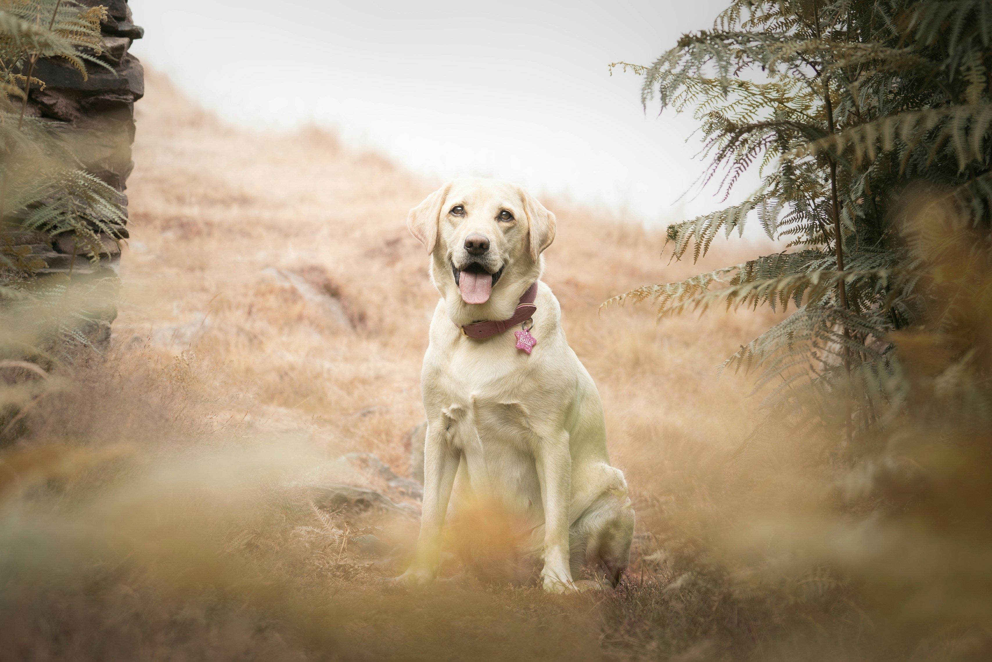 Photo by hollyfrejaphotography