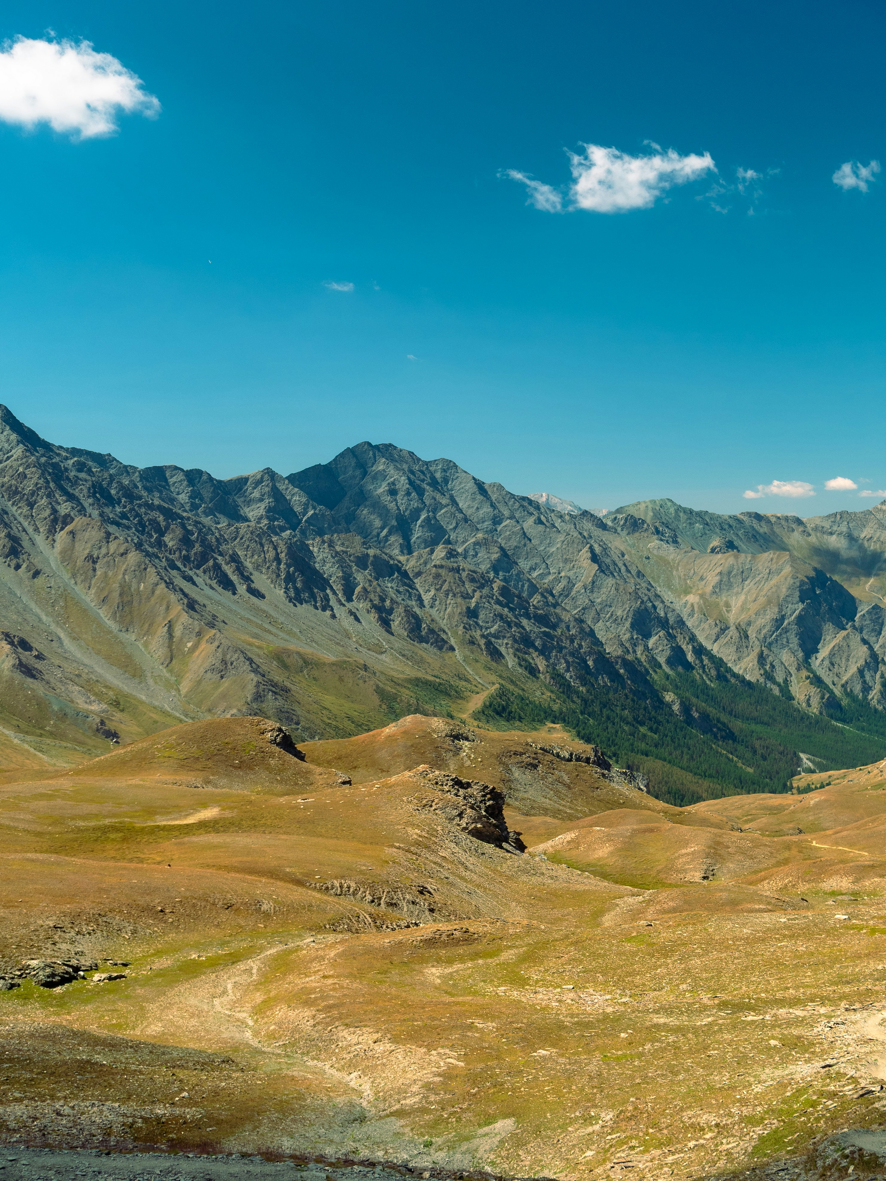 Photo by frameyoureyes