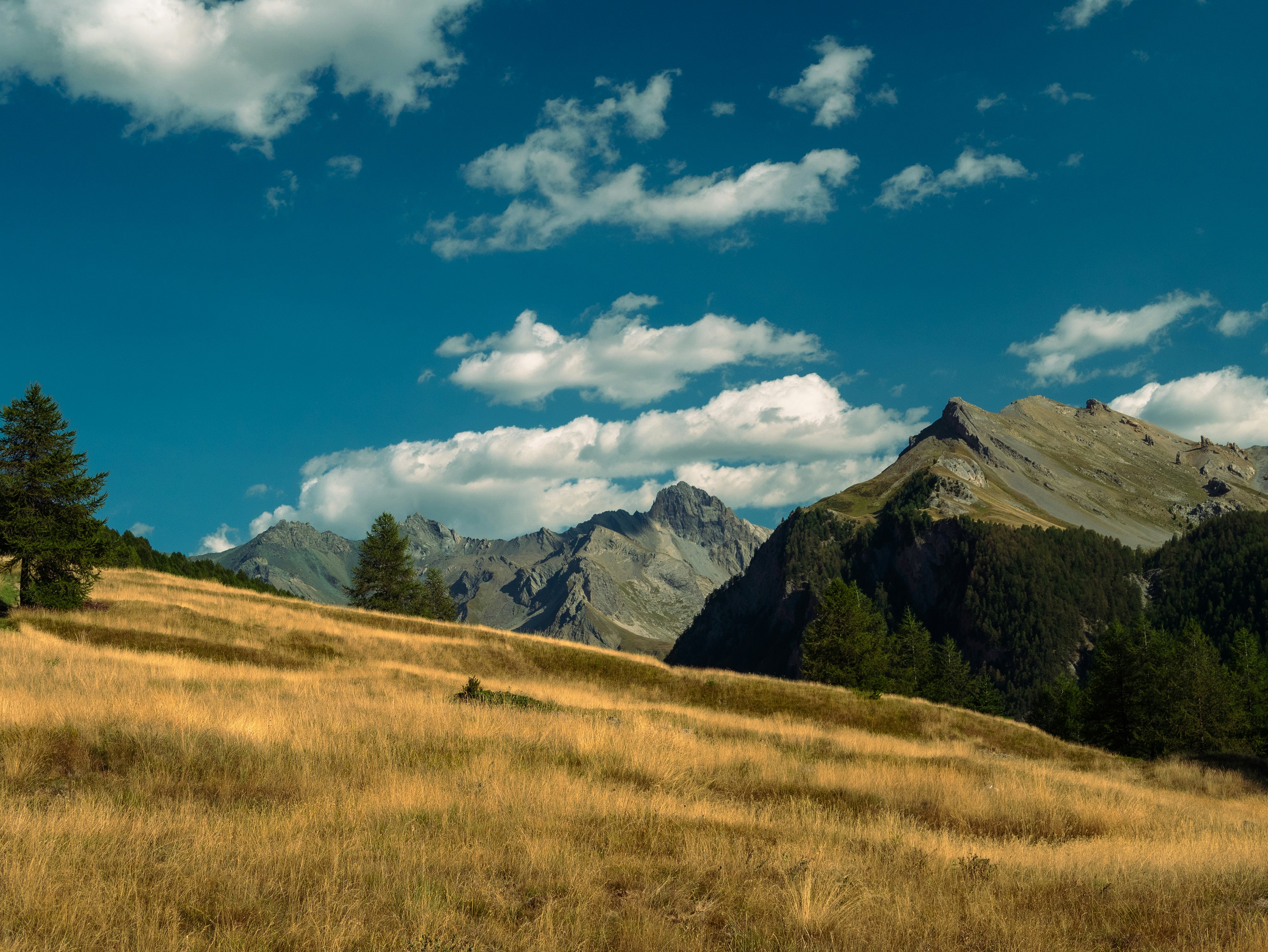 Photo by frameyoureyes