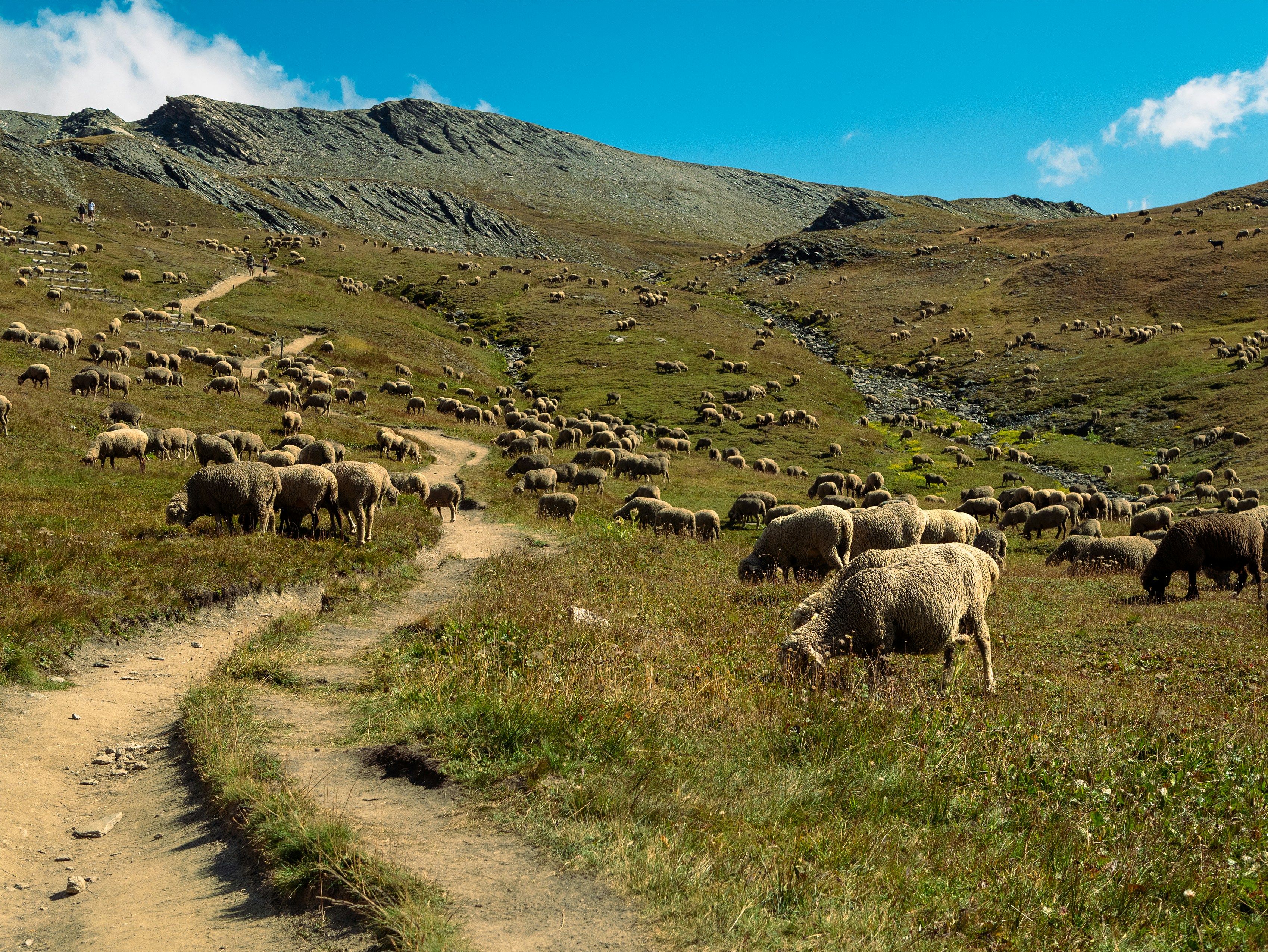 Photo by frameyoureyes